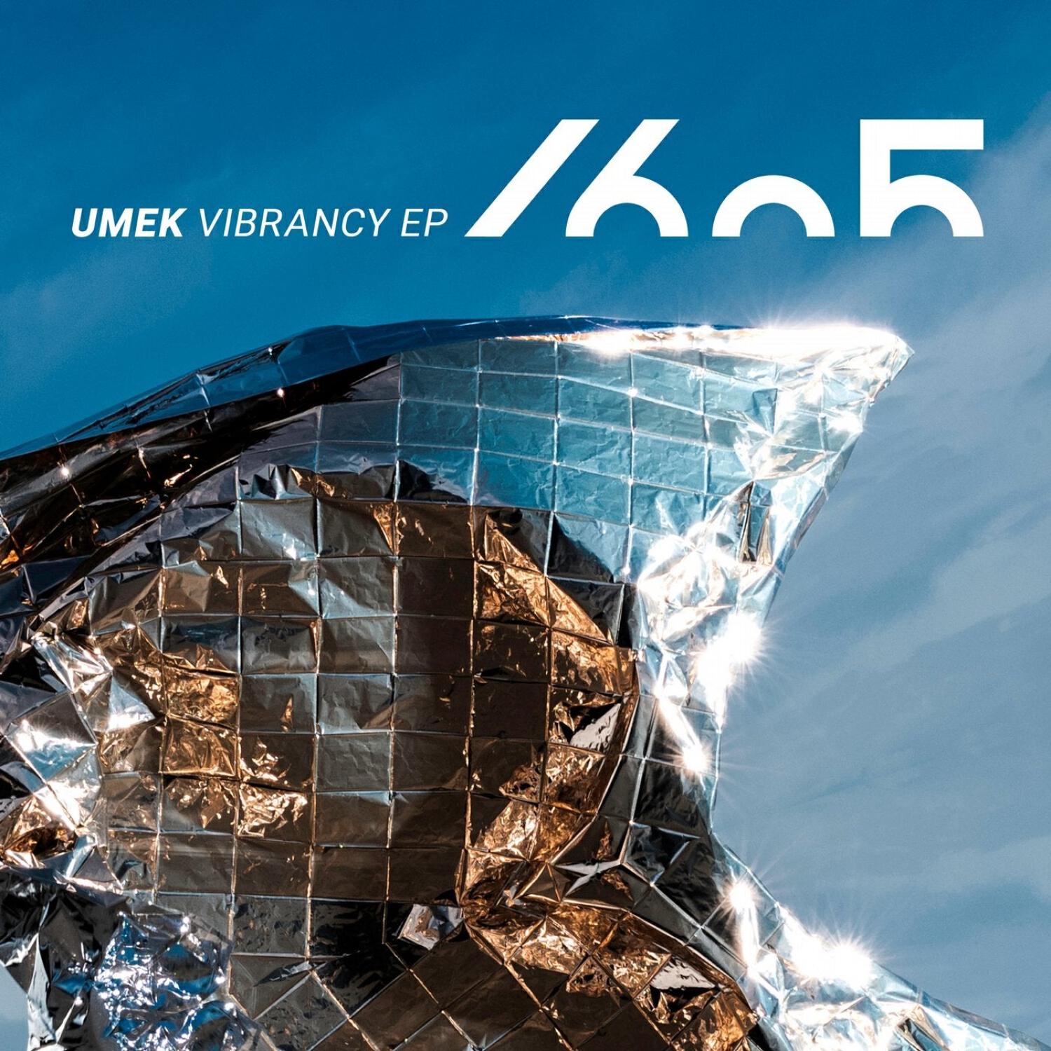 Постер альбома Vibrancy