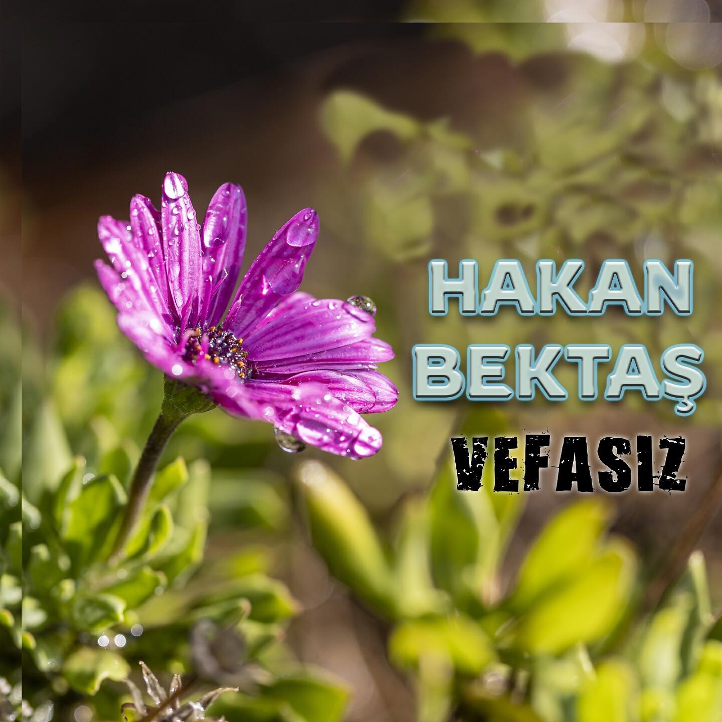 Релиз Vefasız