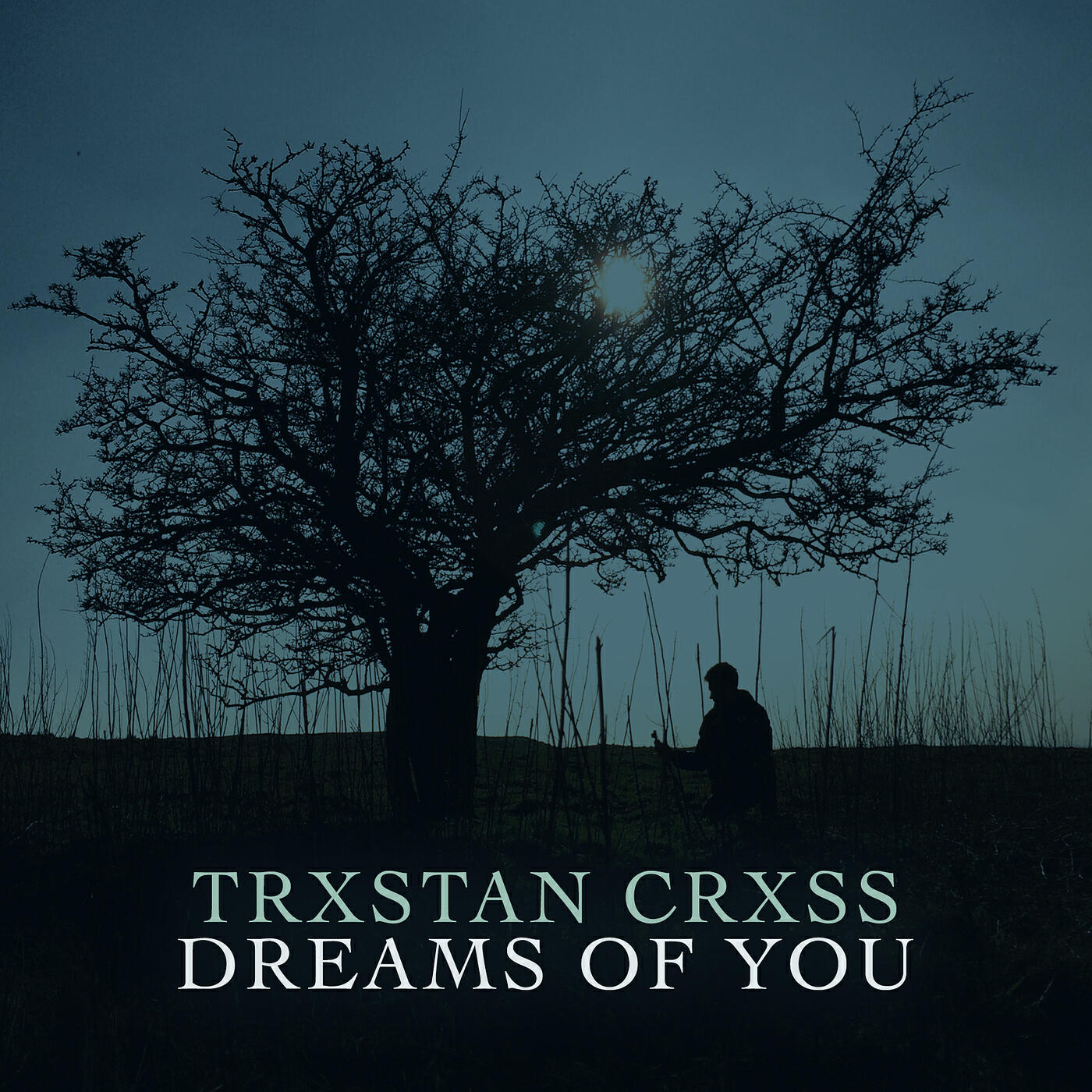 Релиз Dreams of You