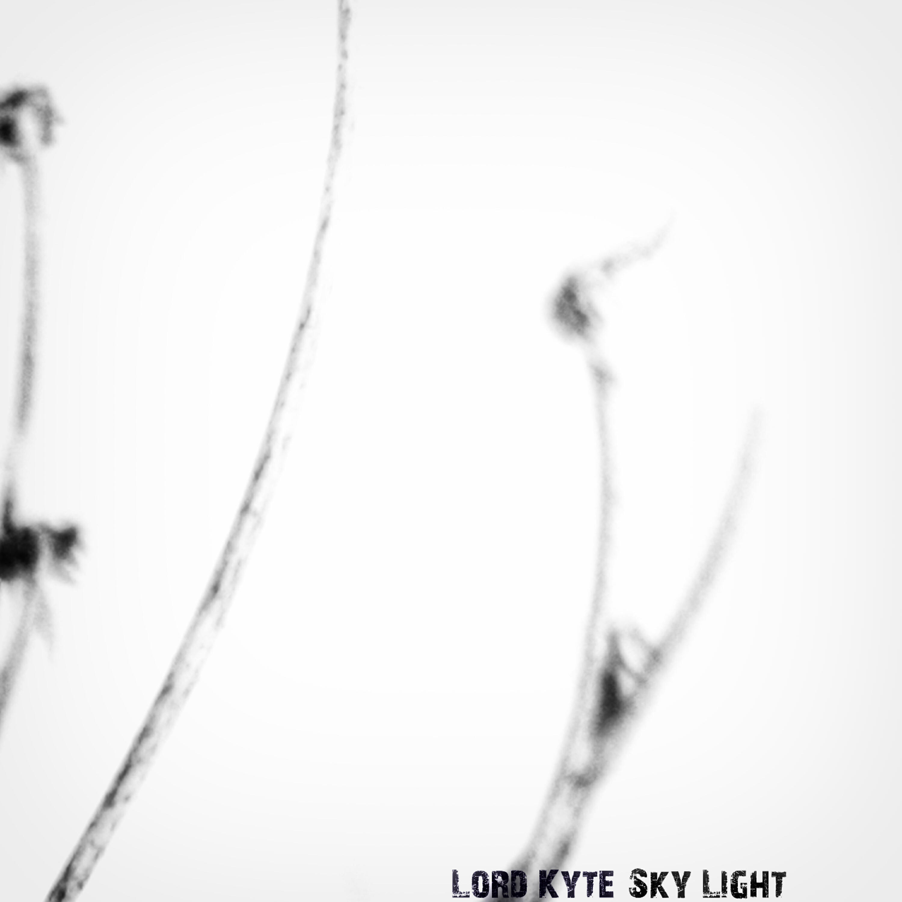 Релиз Sky Light