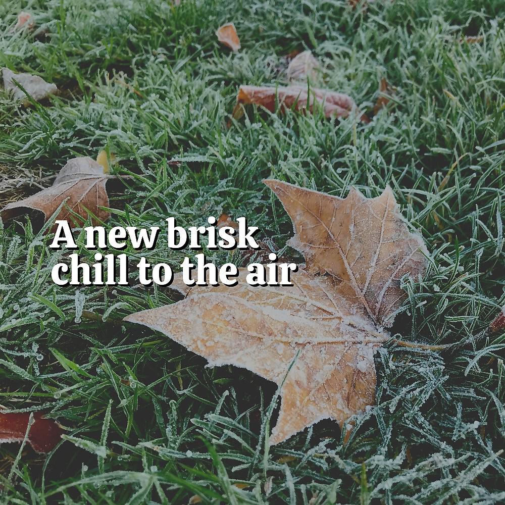 Релиз A New Brisk Chill to the Air