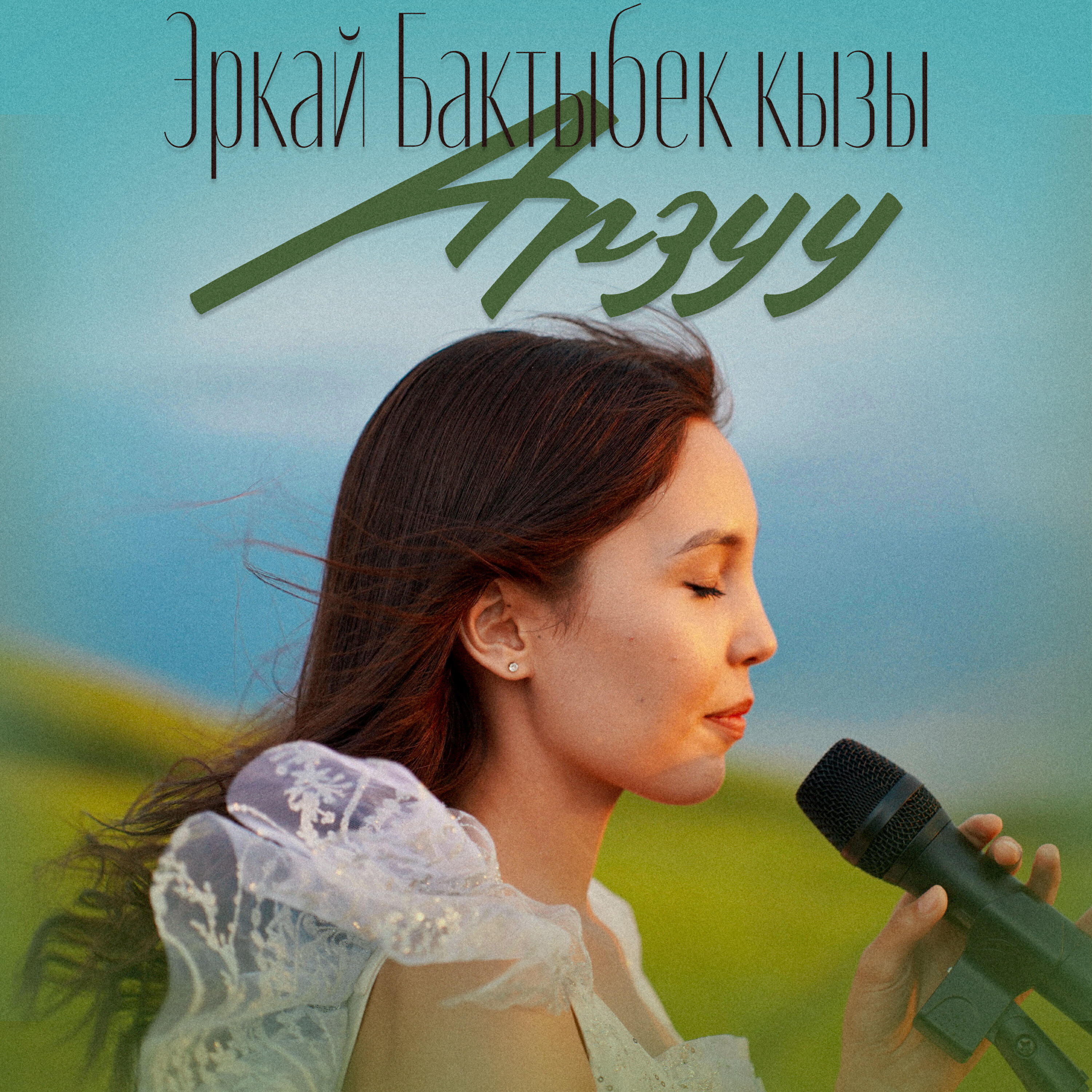 Постер альбома Арзуу