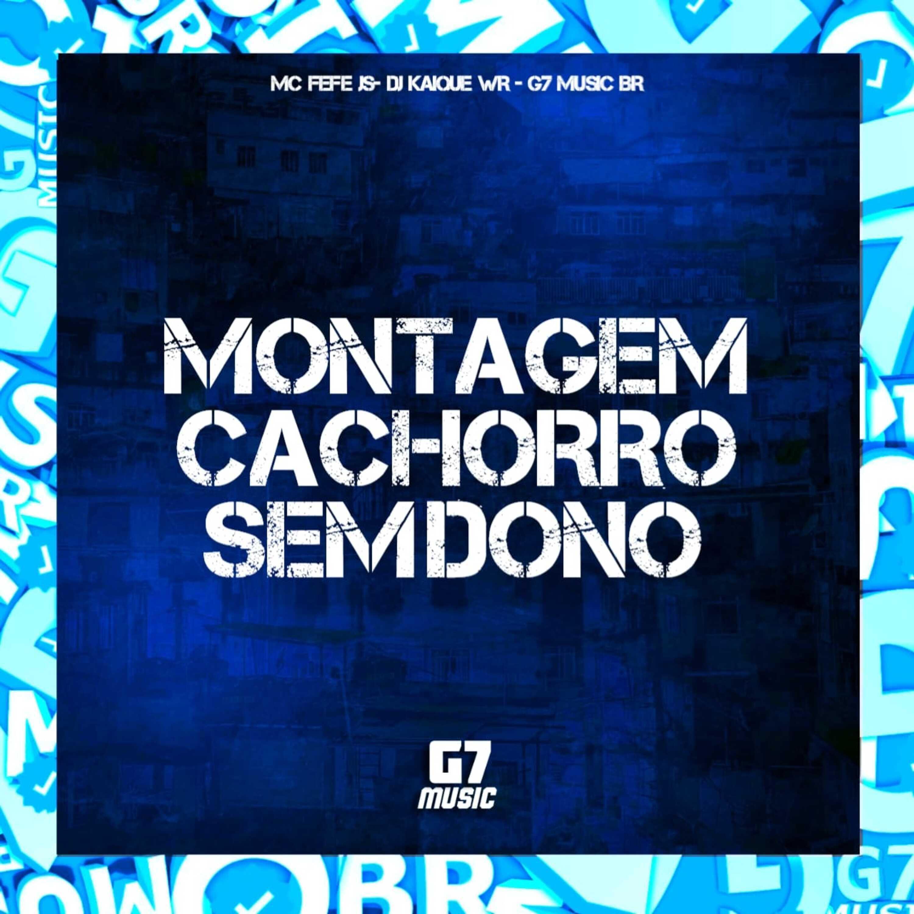 Релиз Montagem Cachorro Sem Dono