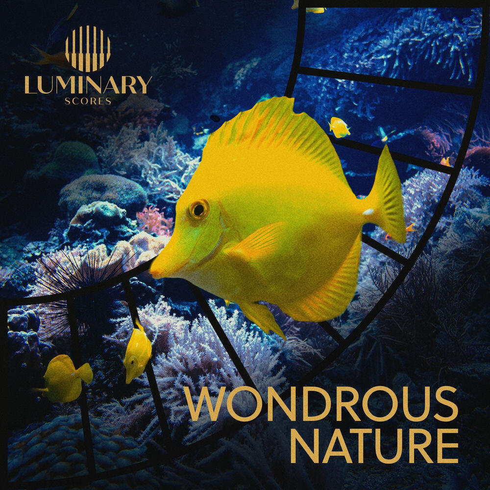 Релиз Wondrous Nature