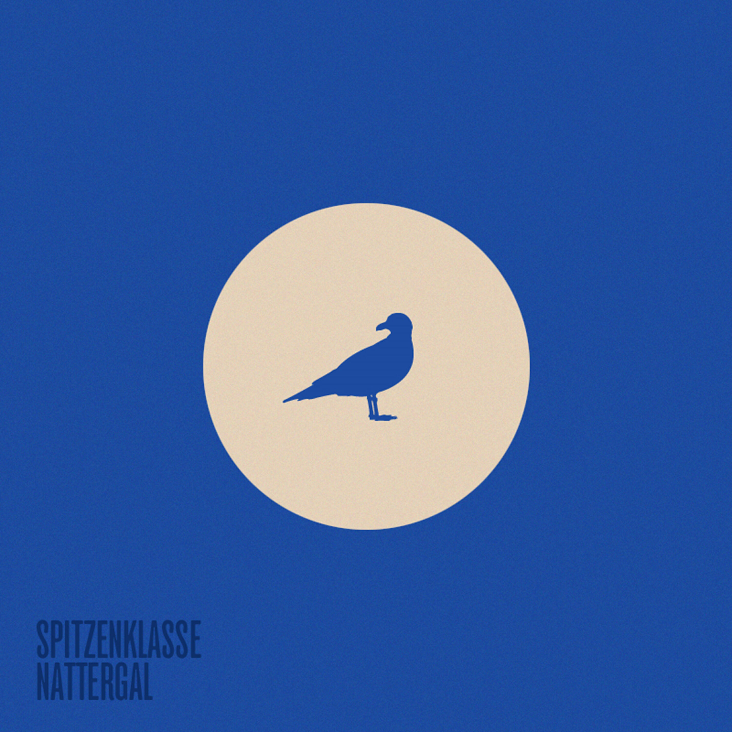 Релиз Nattergal