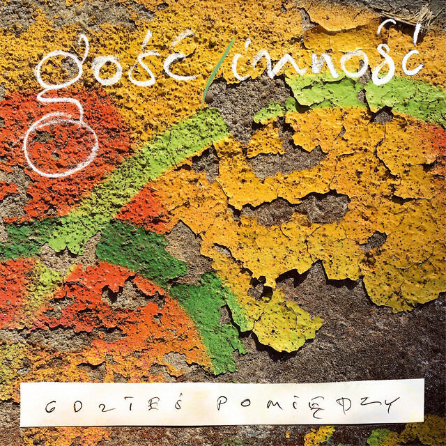Gość