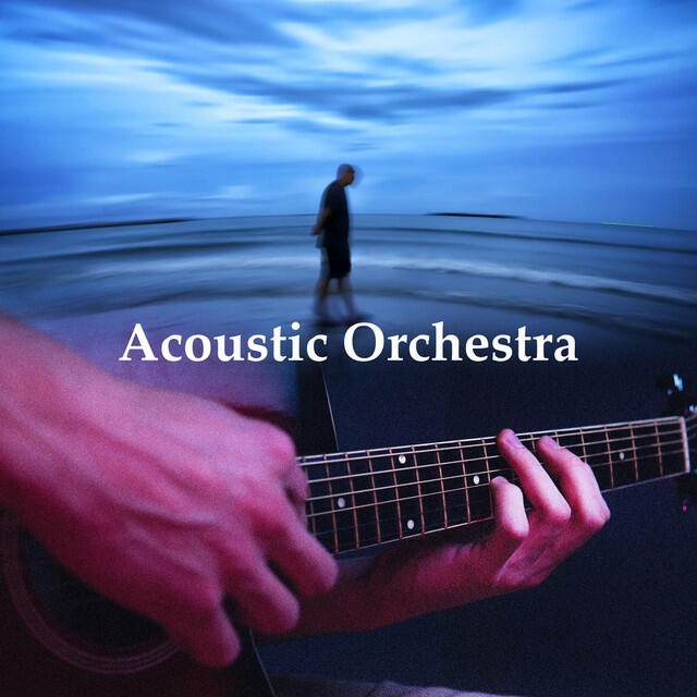 Релиз Acoustic Orchestra