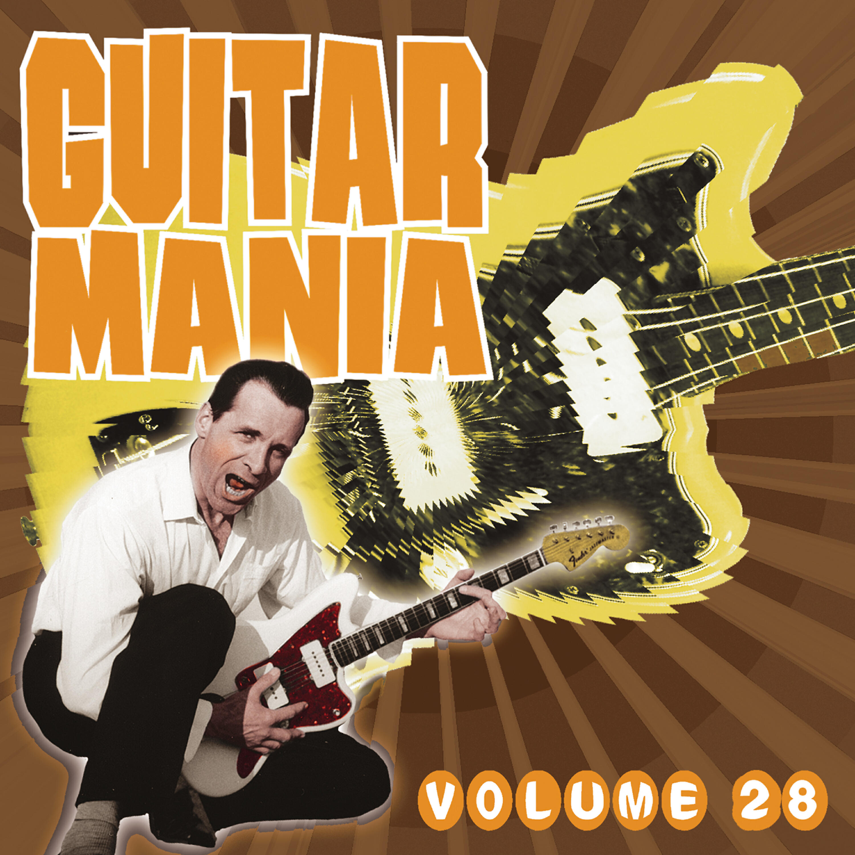 Релиз Guitar Mania, Vol. 28