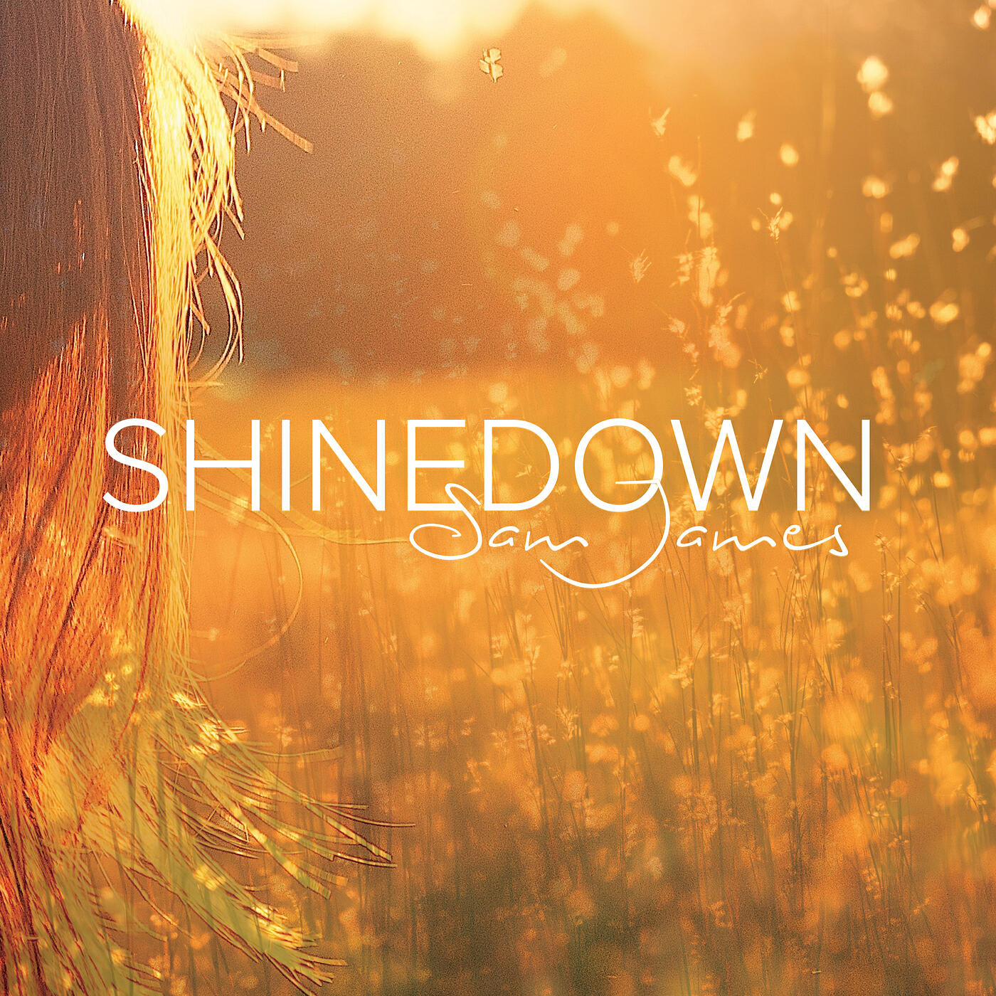 Релиз Shinedown