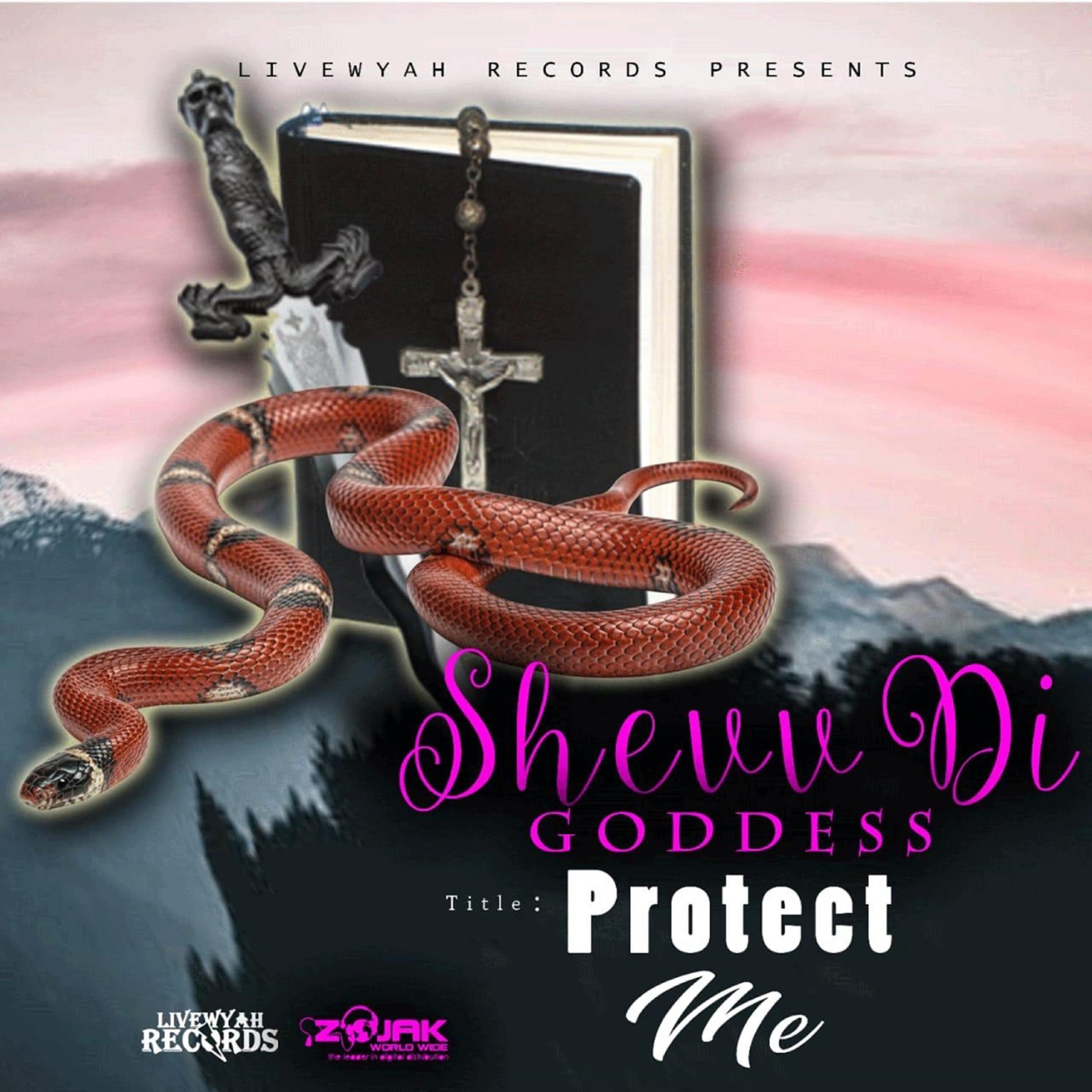 Релиз Protect Me