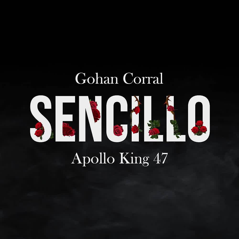 Релиз Sencillo