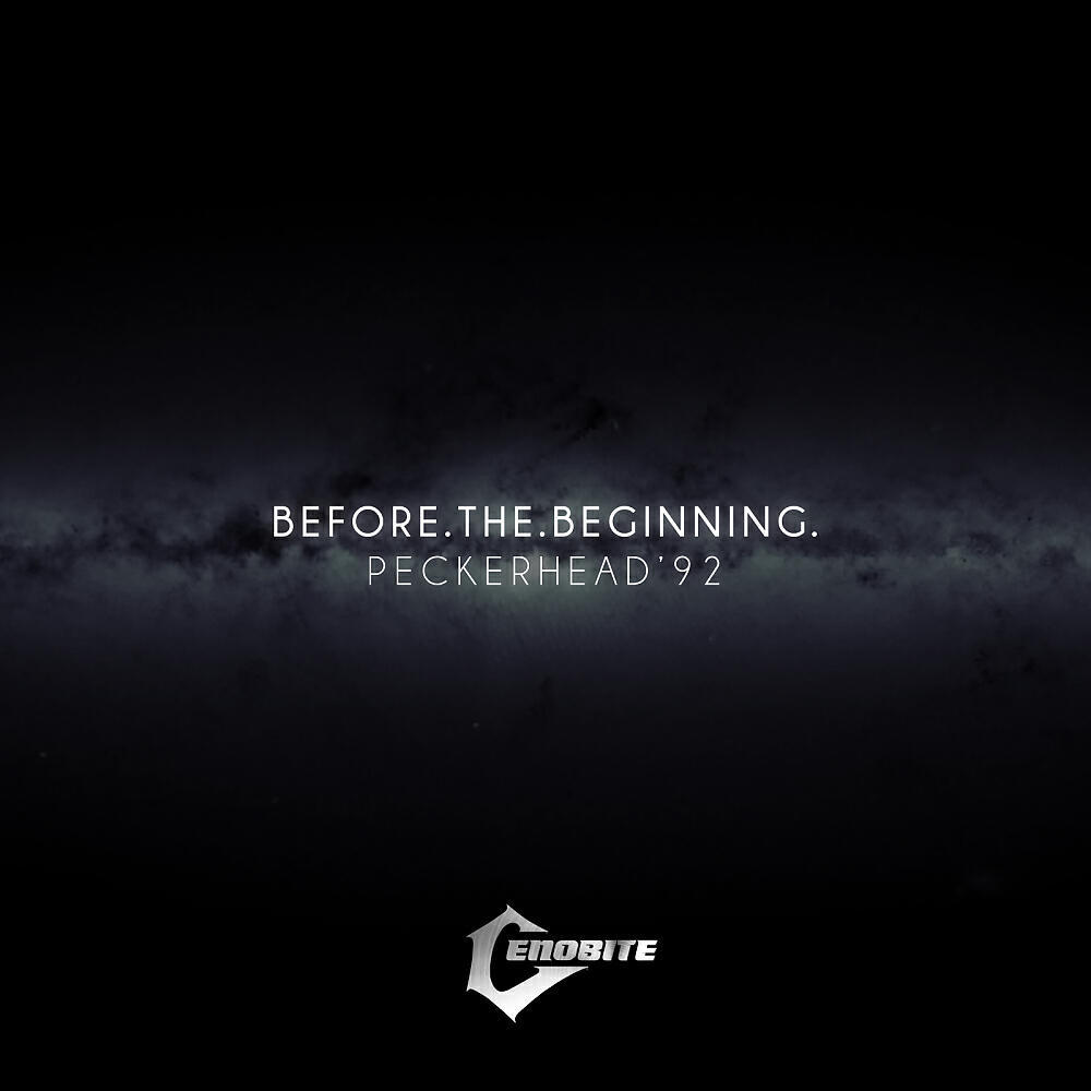 Релиз Before the beginning