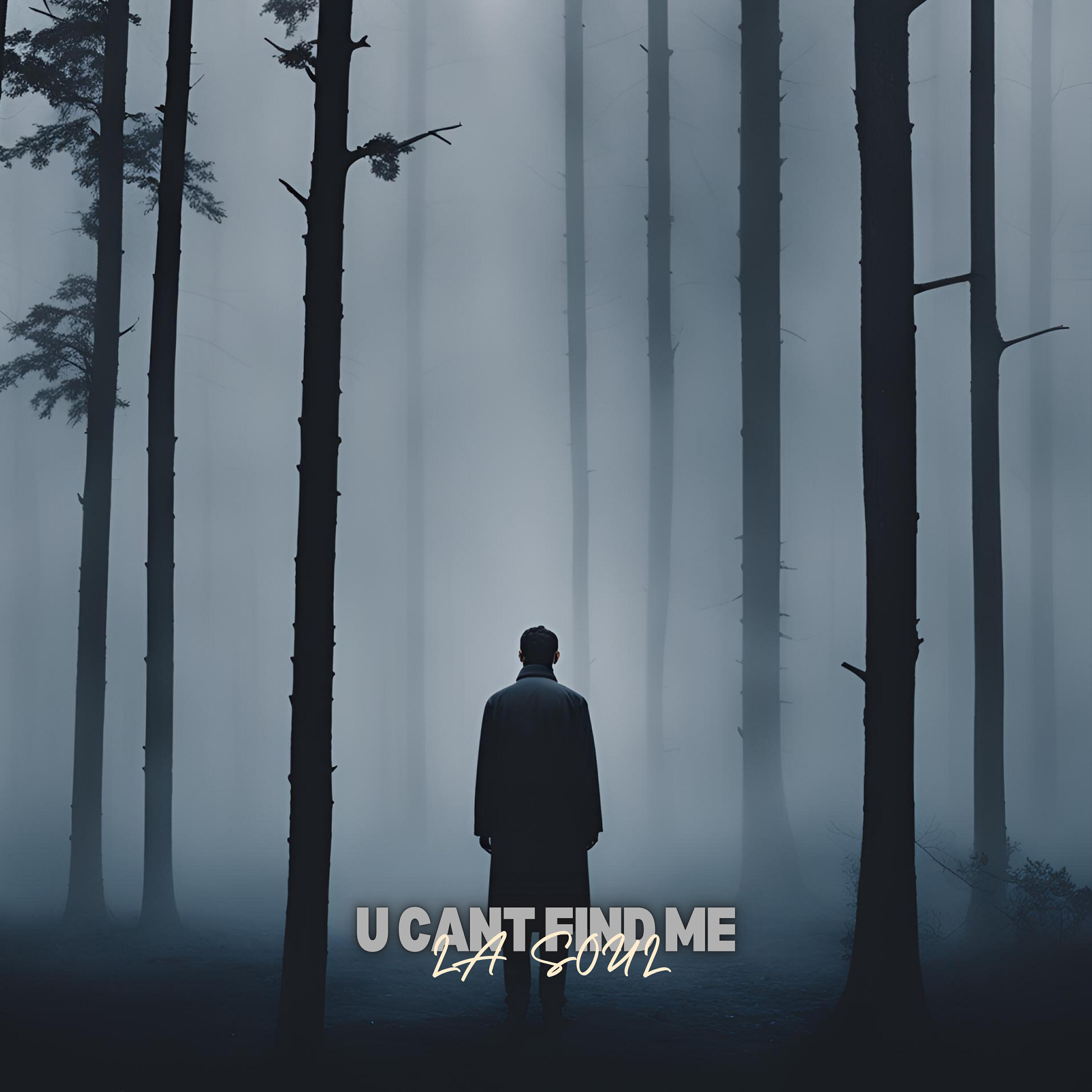 Релиз U Cant Find Me