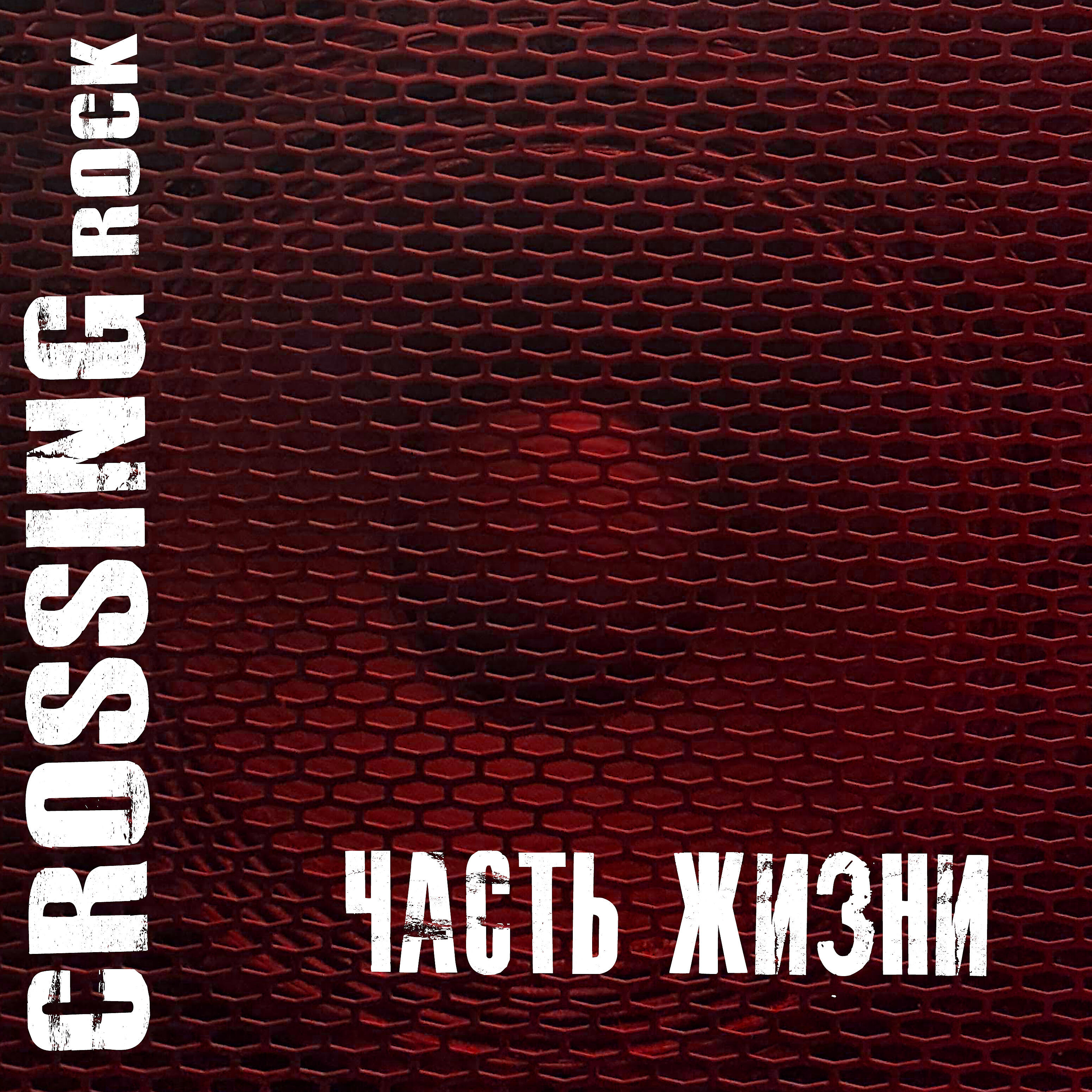 Релиз Часть жизни