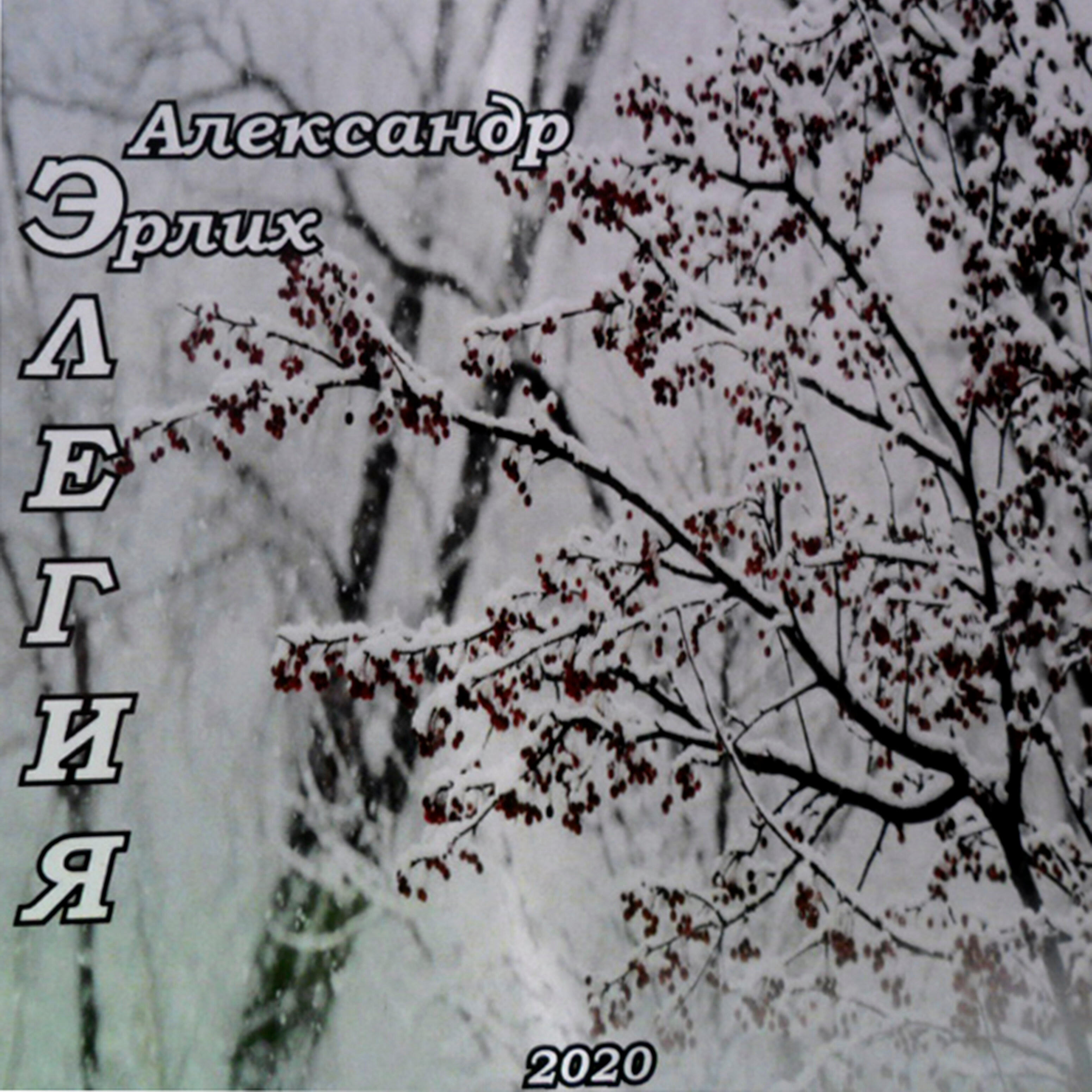 Александр Эрлих
