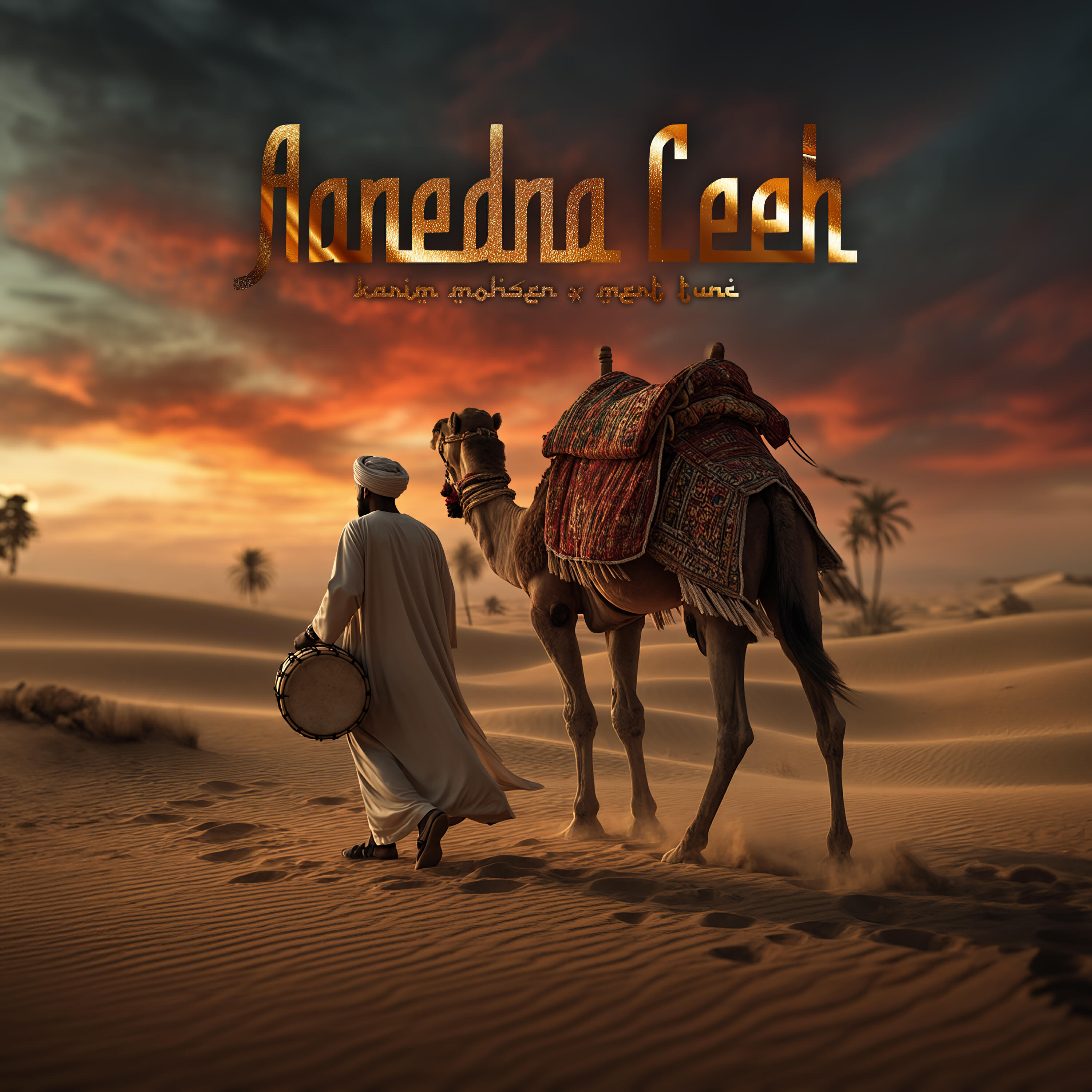 Релиз Aanedna Leeh (Afro House)