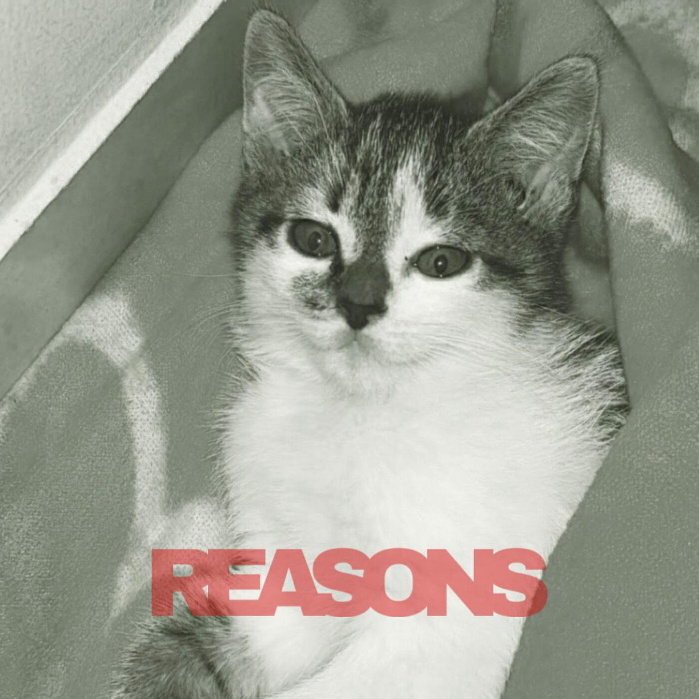 Релиз Reasons