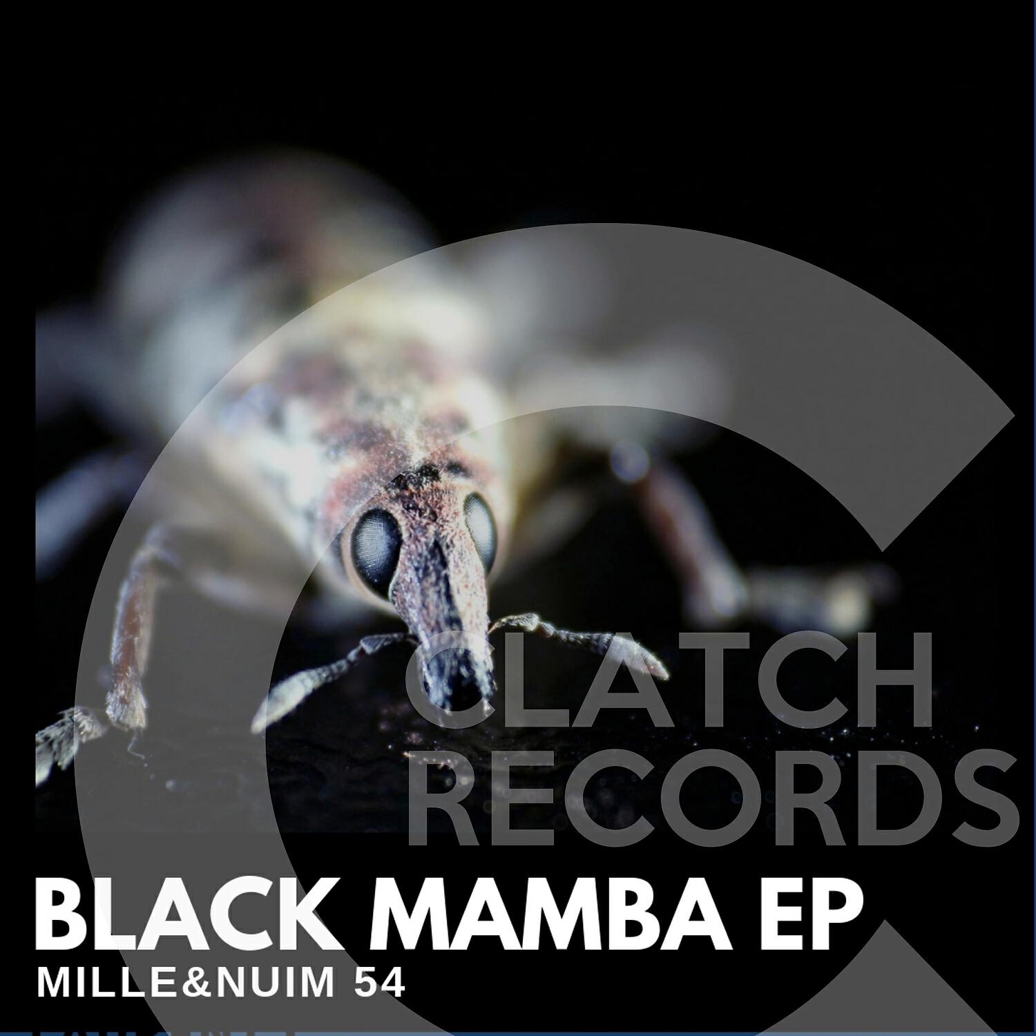 Релиз Black Mamba