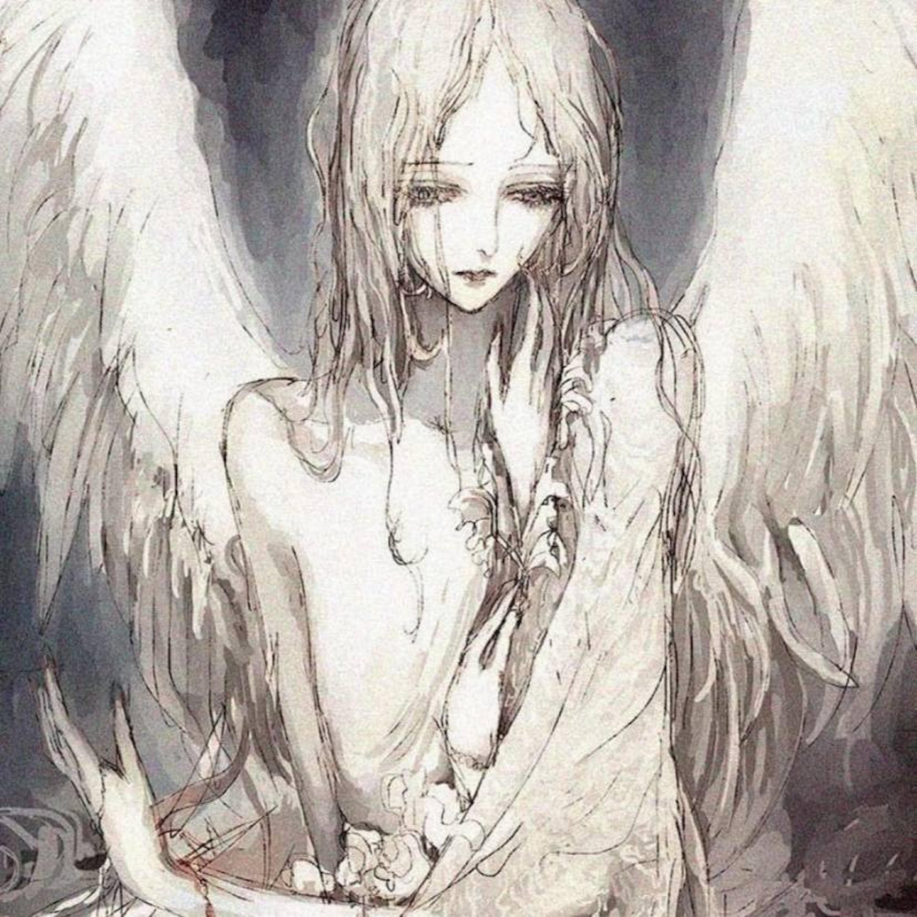 Релиз ANGEL