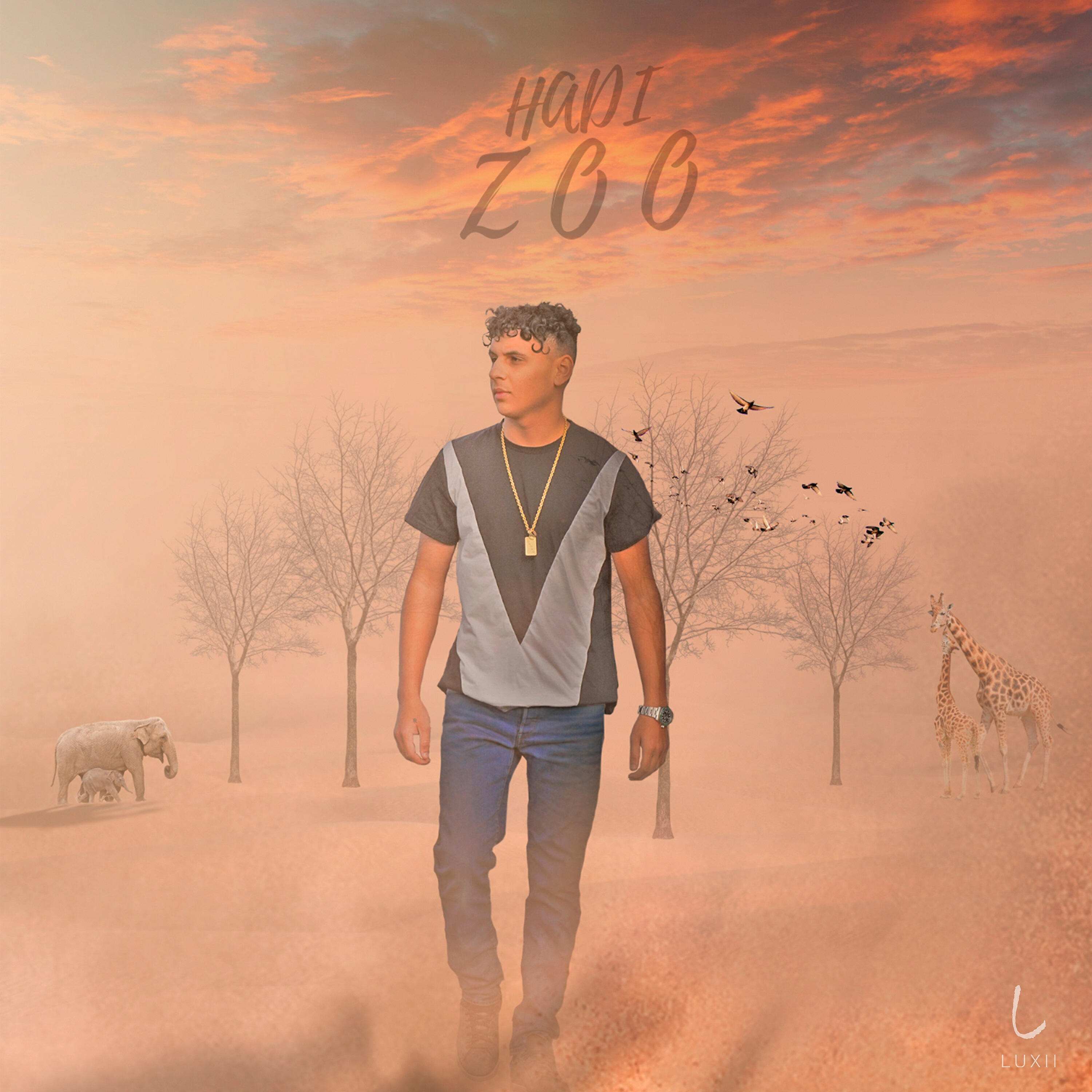 Релиз Zoo