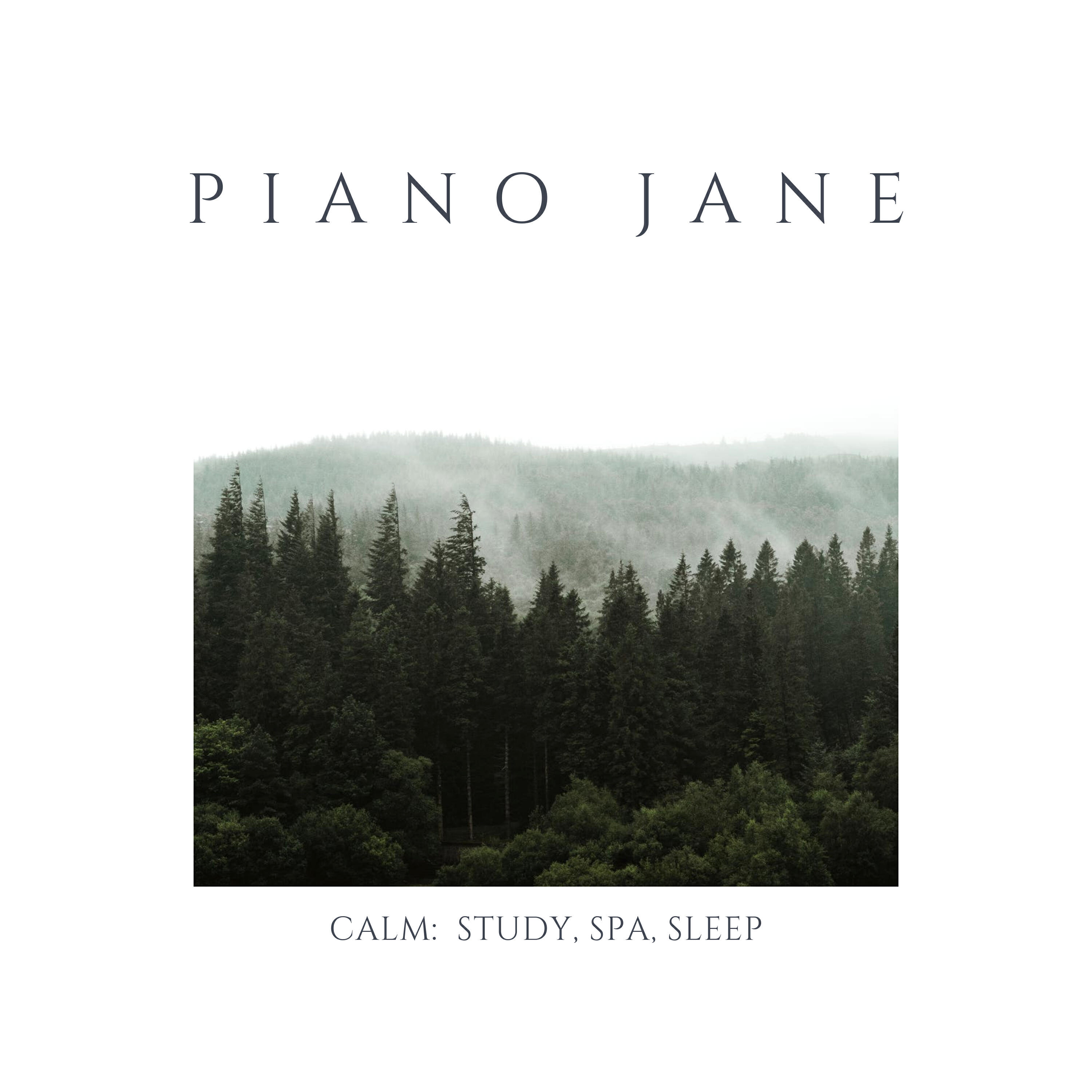 Релиз Calm: Study, Spa, Sleep