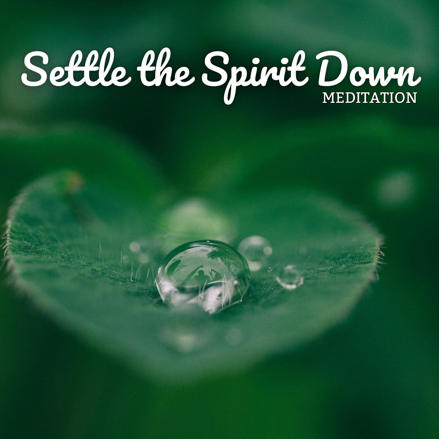 Релиз Meditation: Settle the Spirit Down