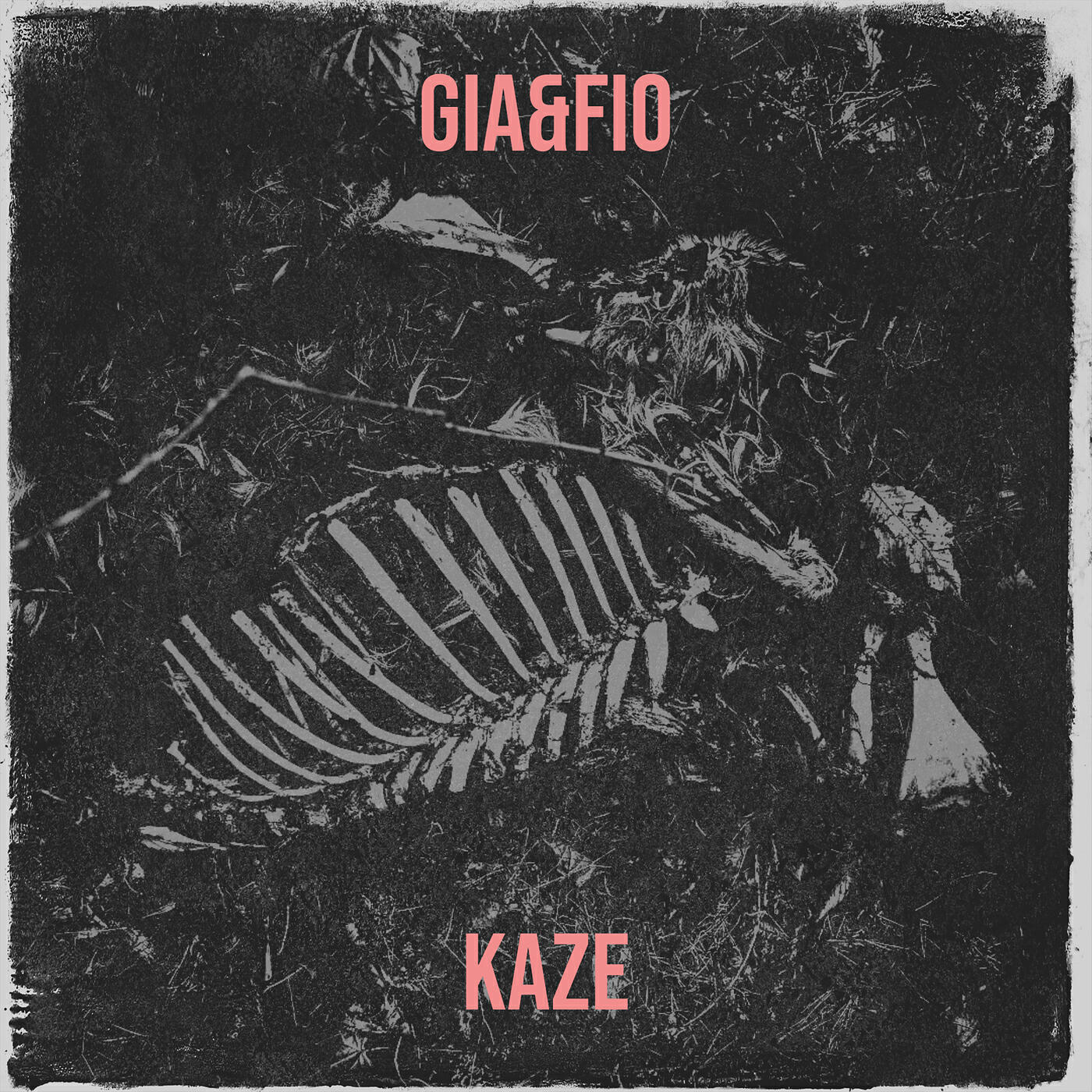 Релиз Gia&Fio