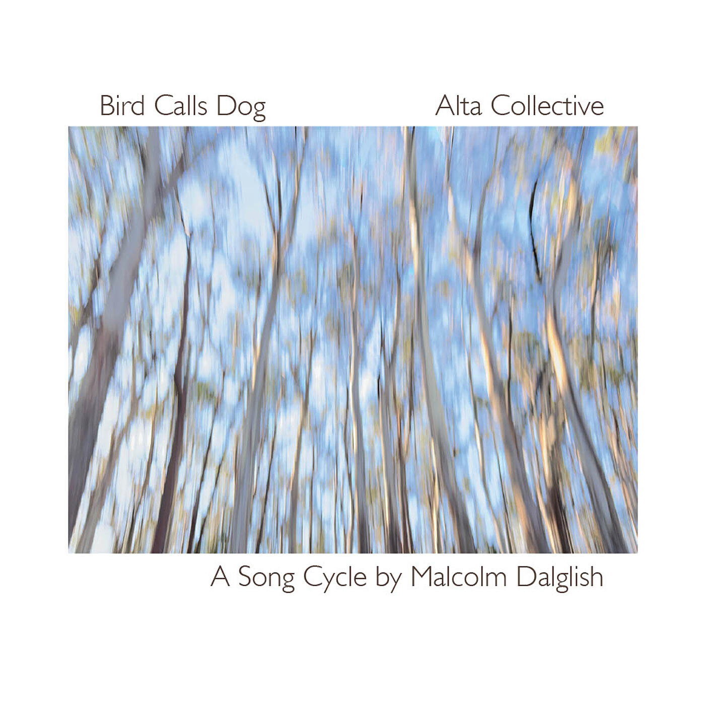 Релиз Bird Calls Dog
