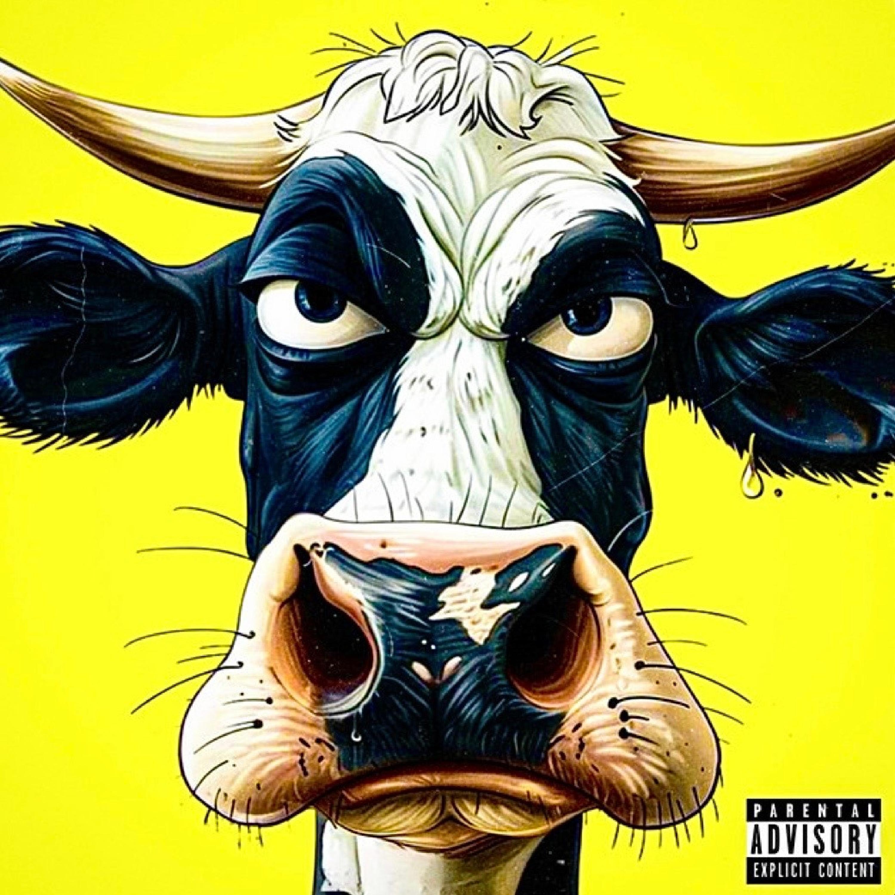 Релиз BEEF