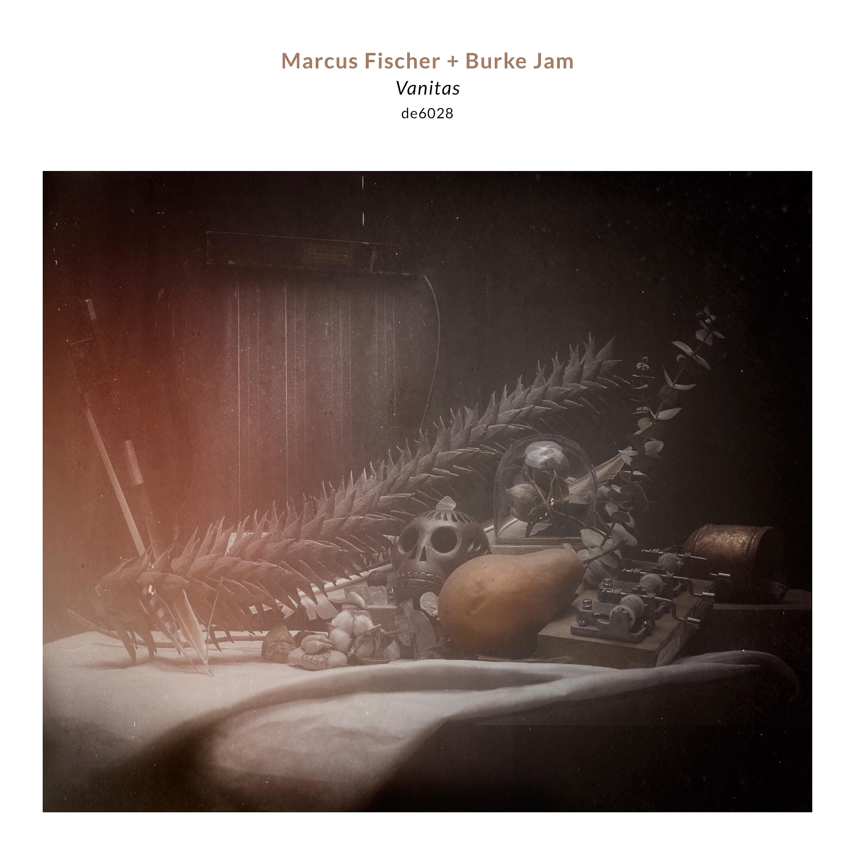 Релиз Vanitas