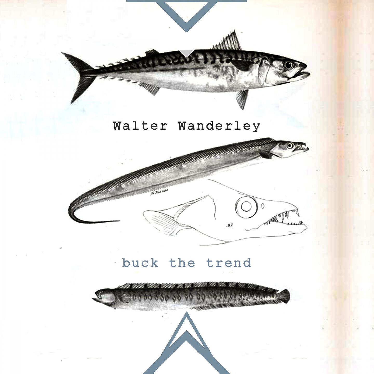 Релиз Buck The Trend