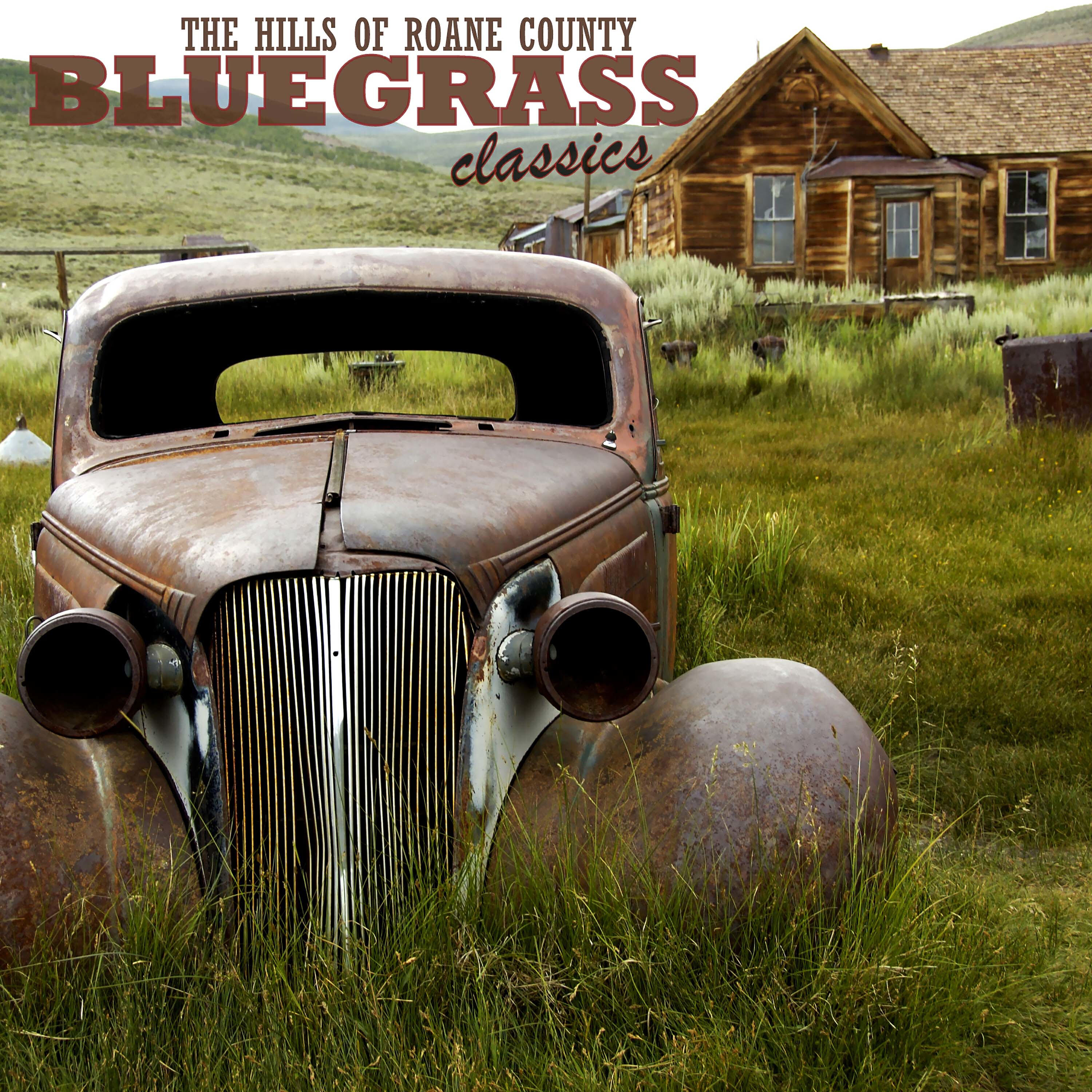 Релиз Bluegrass: Mccormick's String Picnic