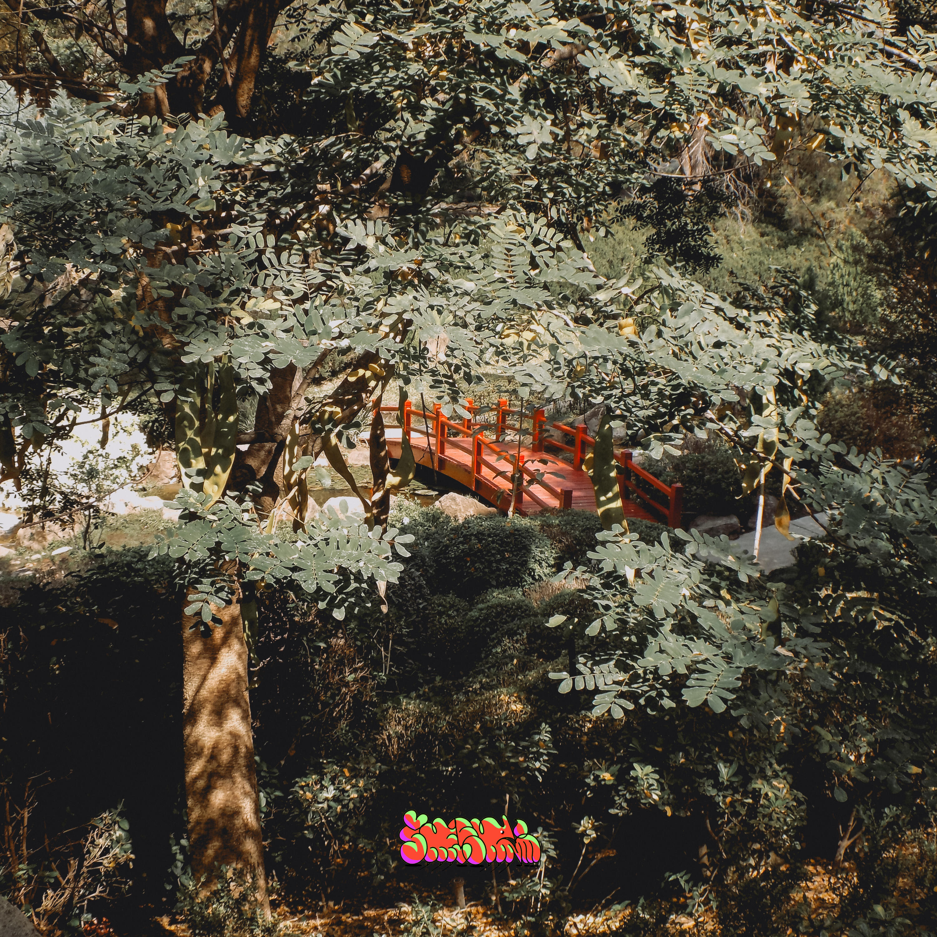 Релиз Trappin in Japan
