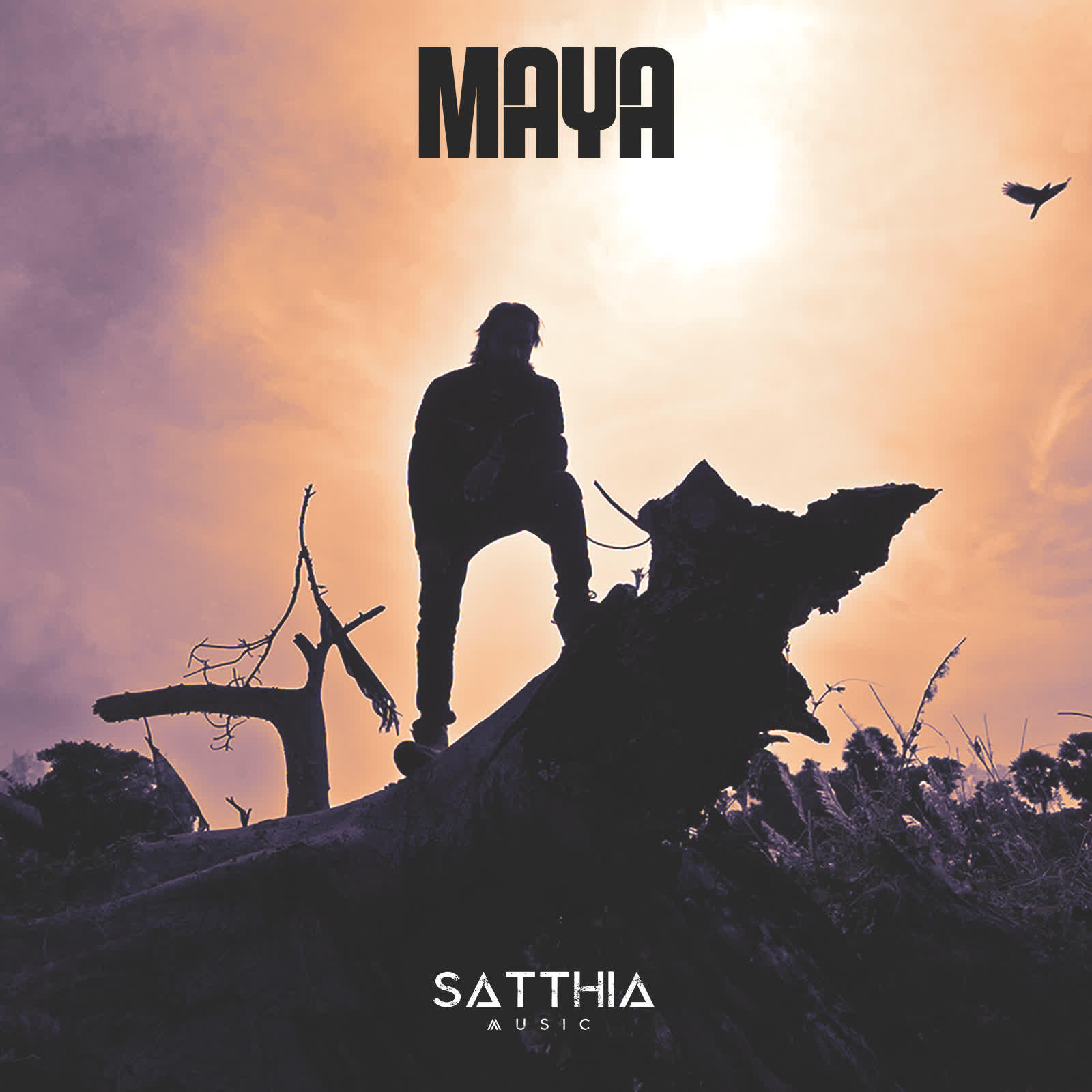 Релиз Maya