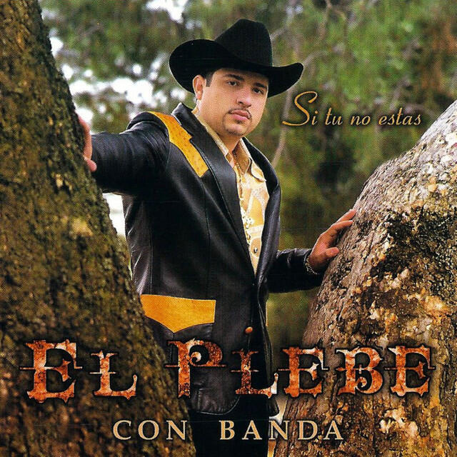 Релиз Si Tu No Estas