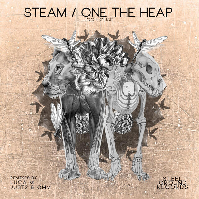 Релиз Steam/One The Heap