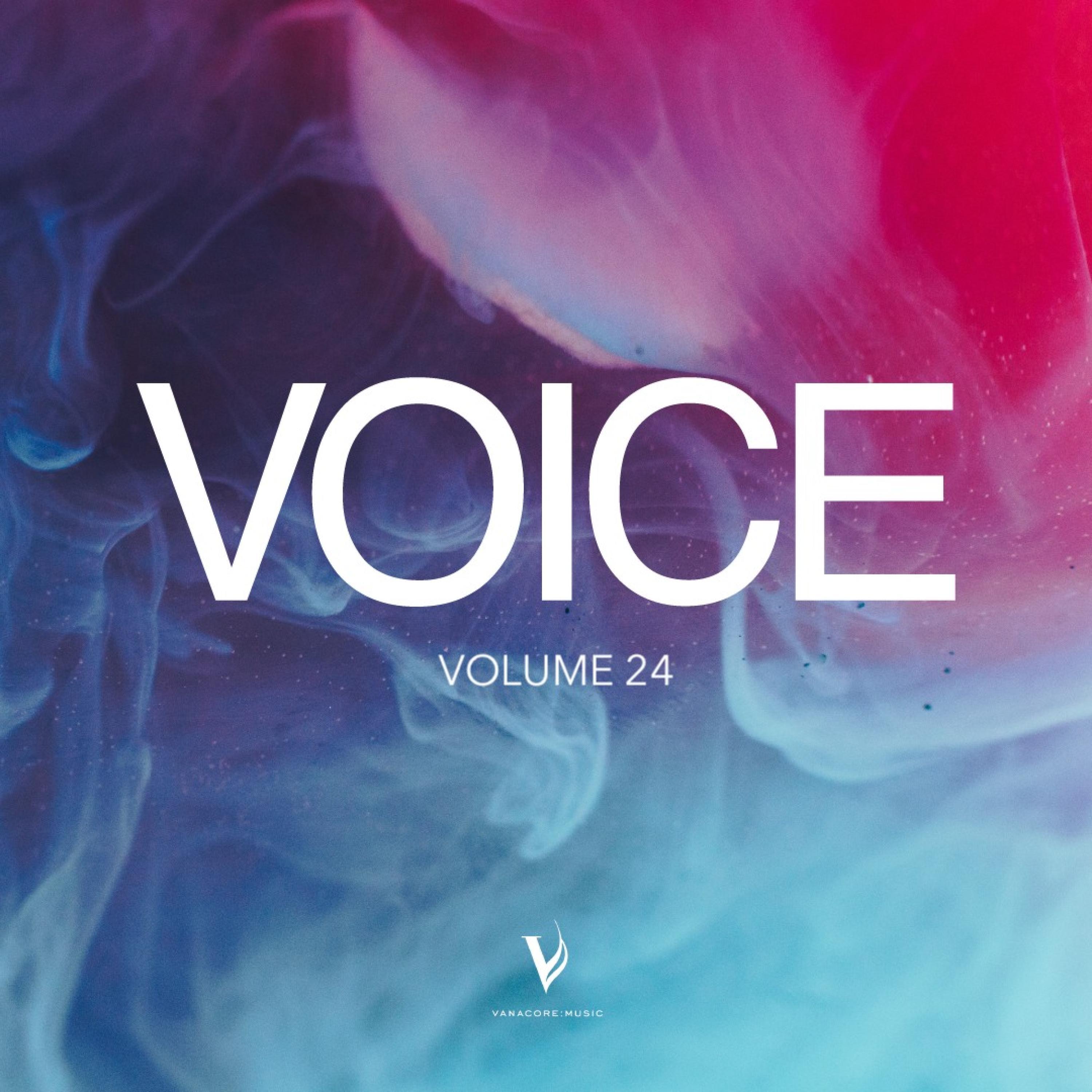 Релиз Voice, Vol, 24