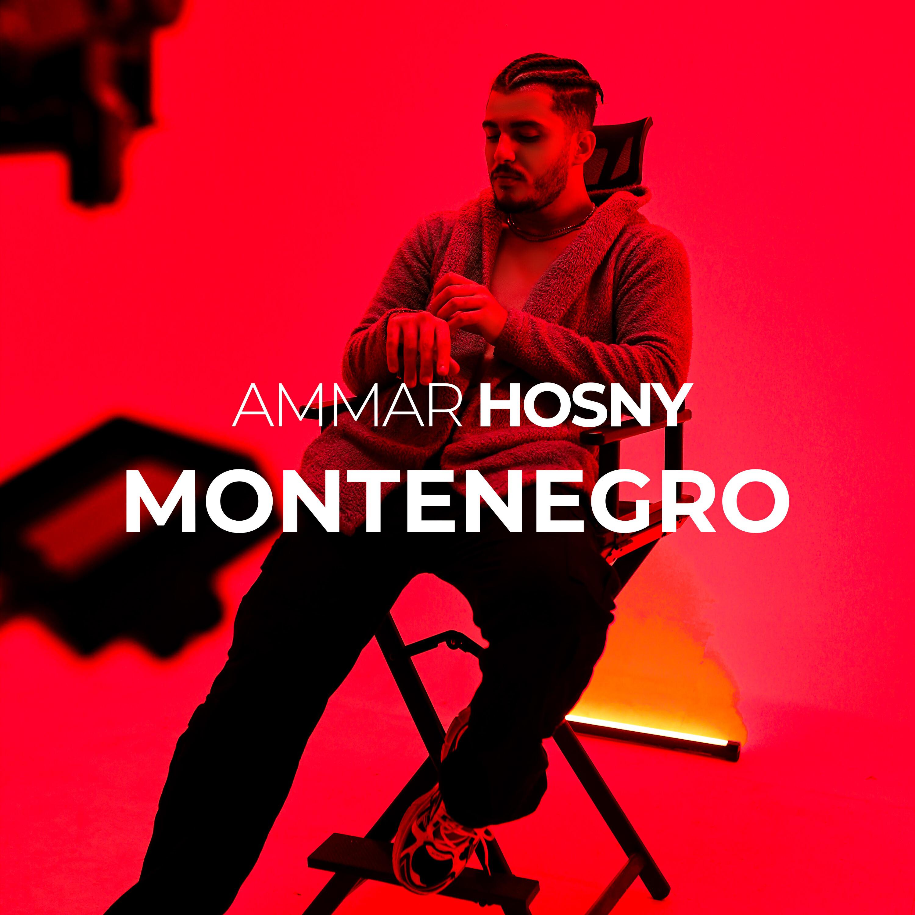 Релиз Montenegro