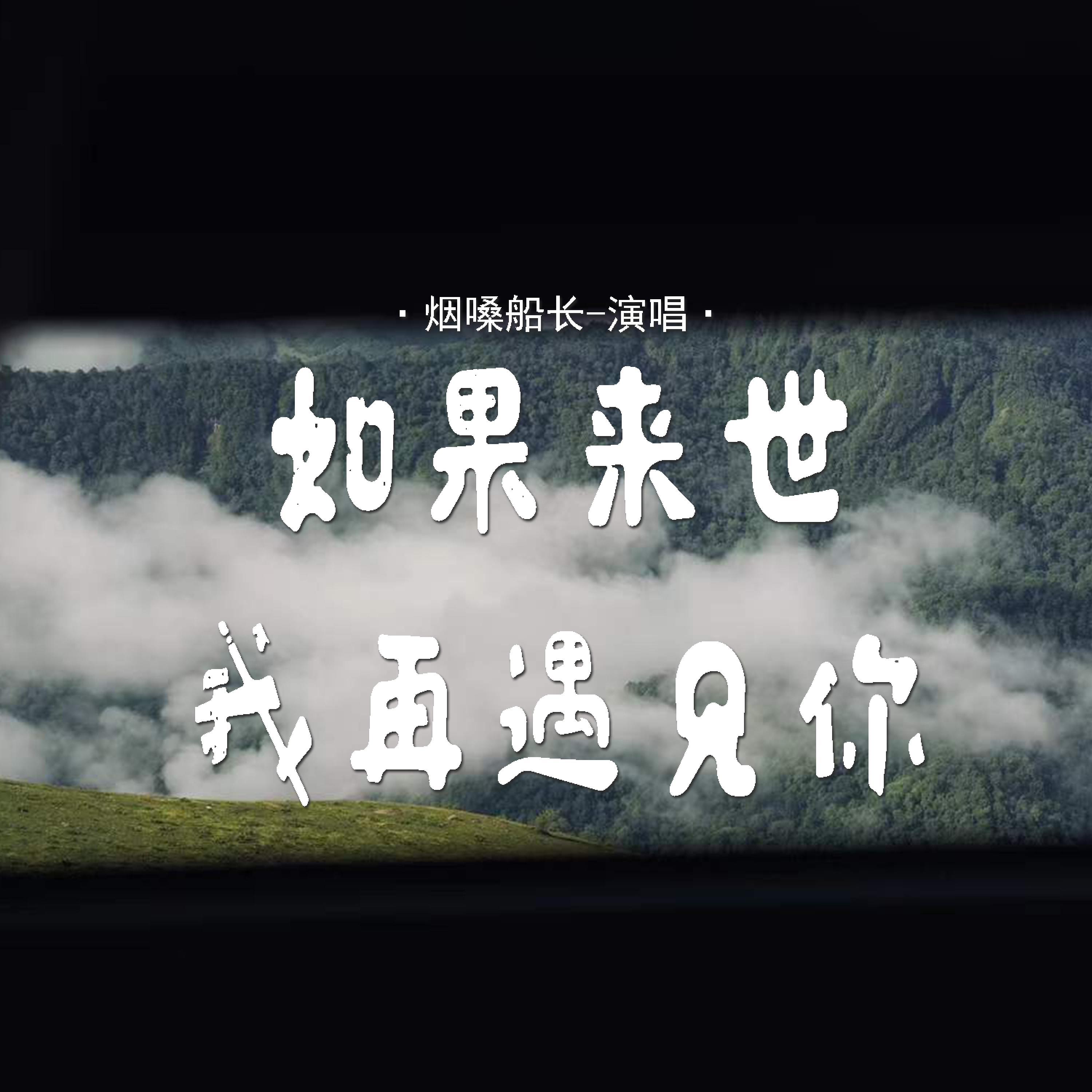 Релиз 如果来世我再遇见你