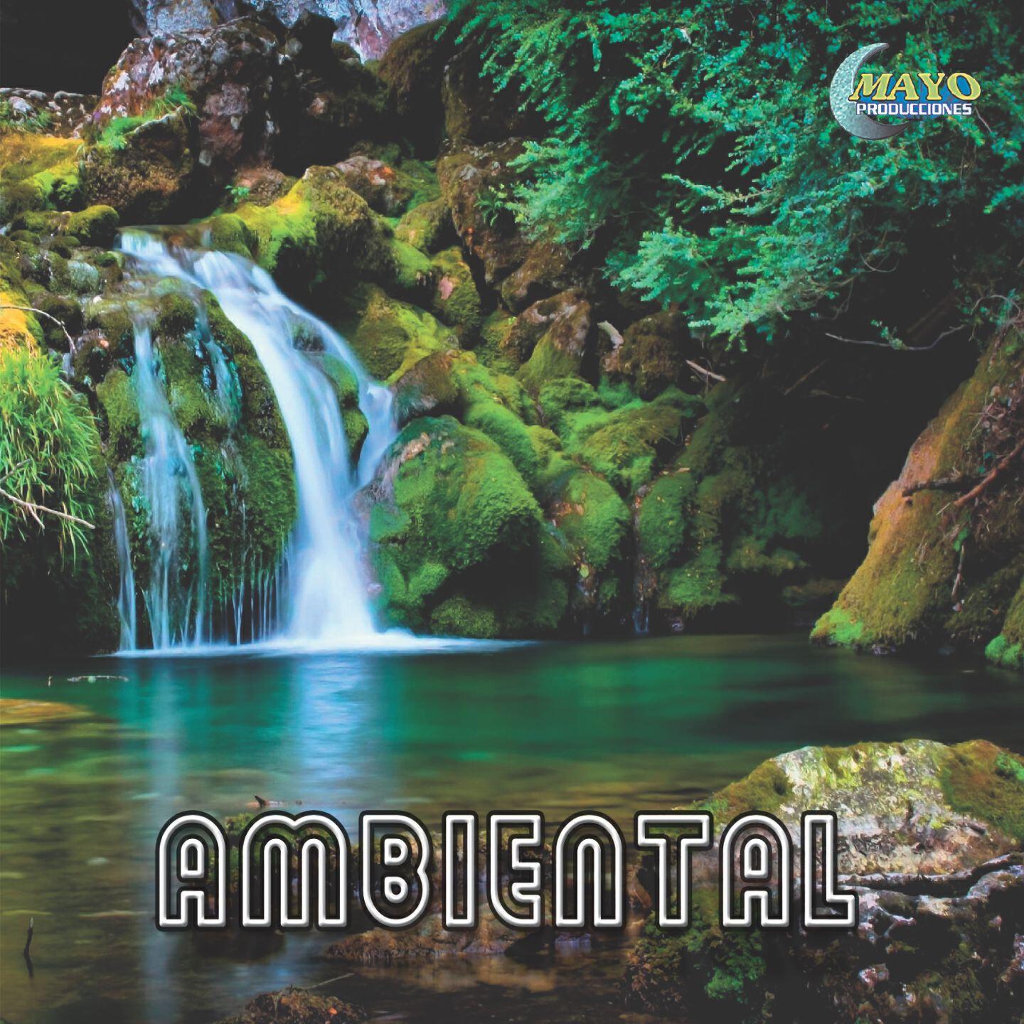 Релиз Ambiental