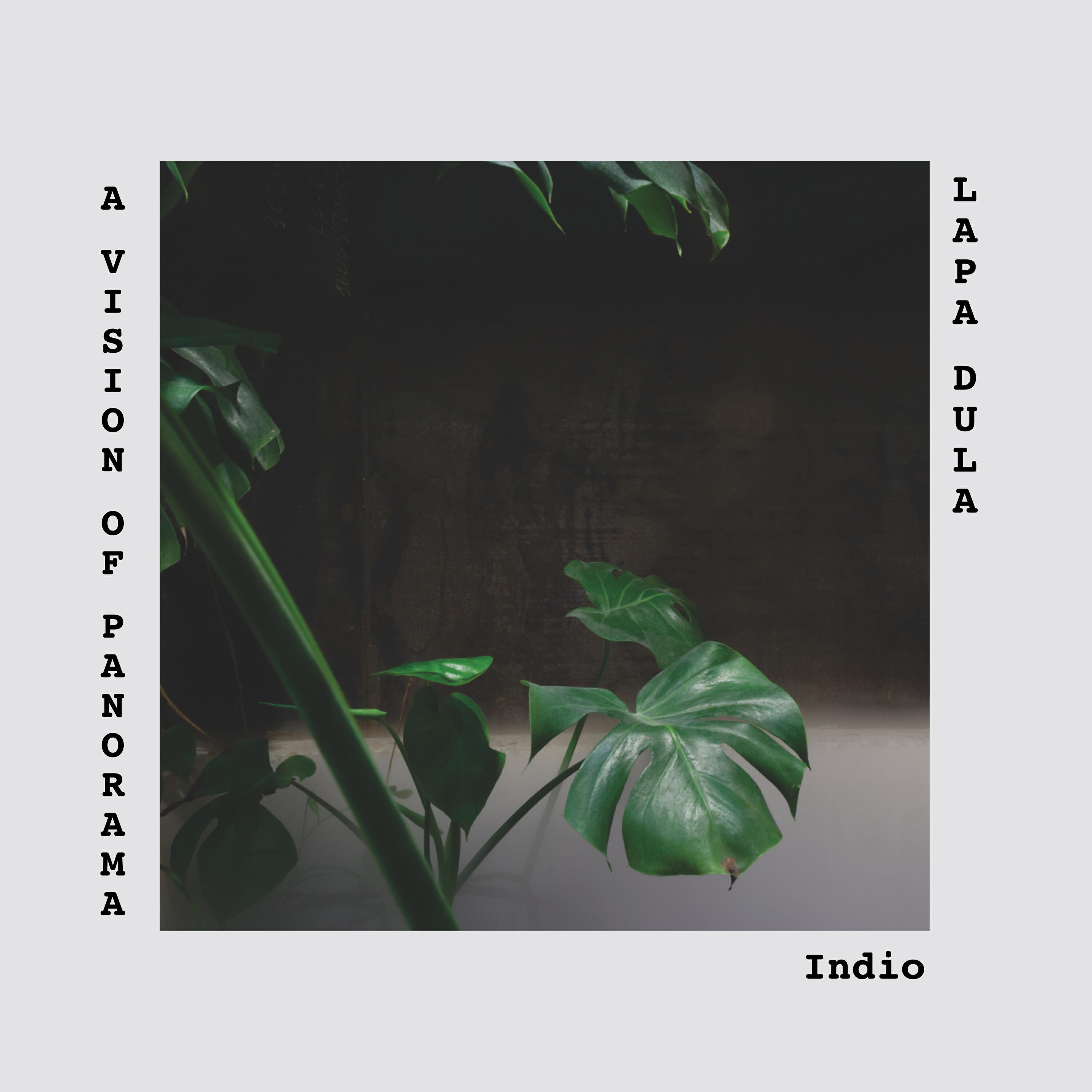 Релиз Indio