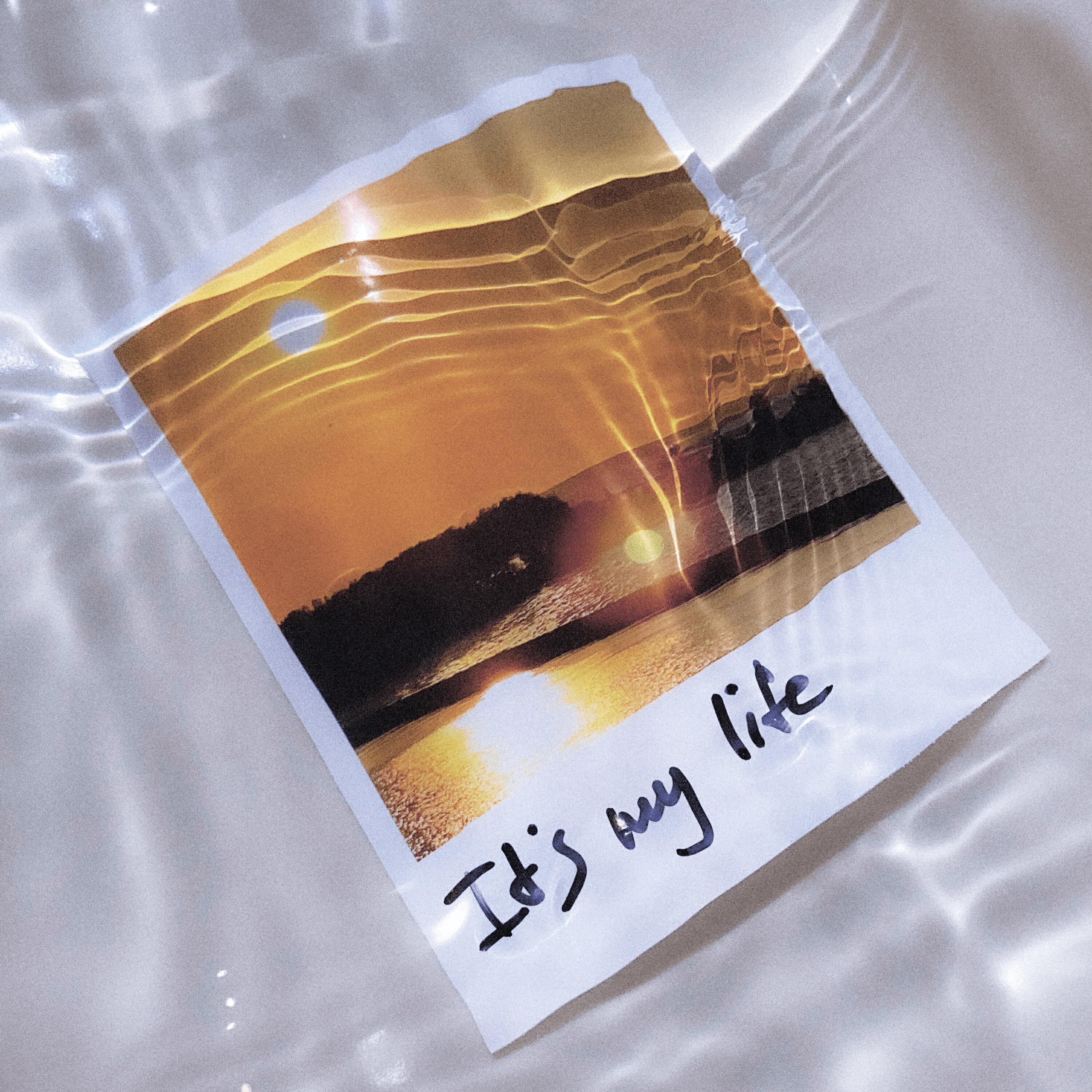 Релиз It's my life