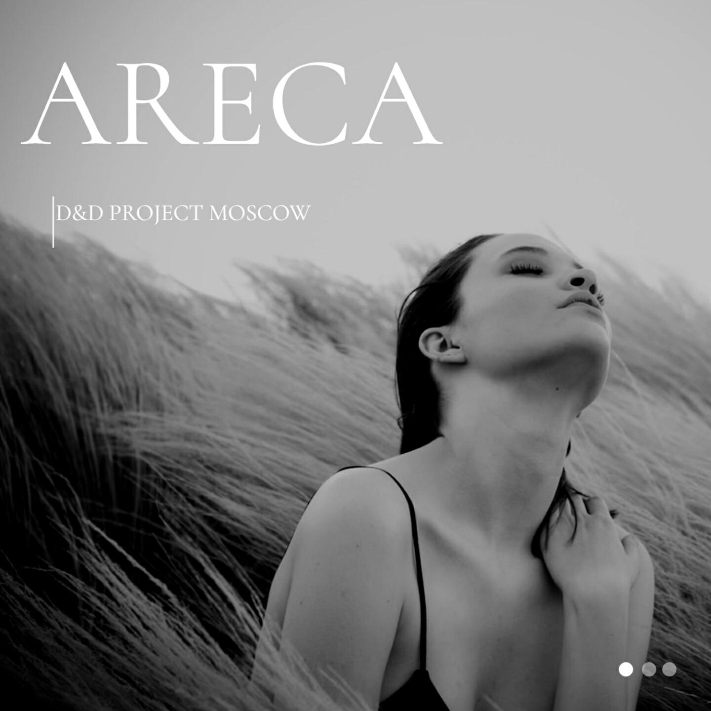 Релиз ARECA