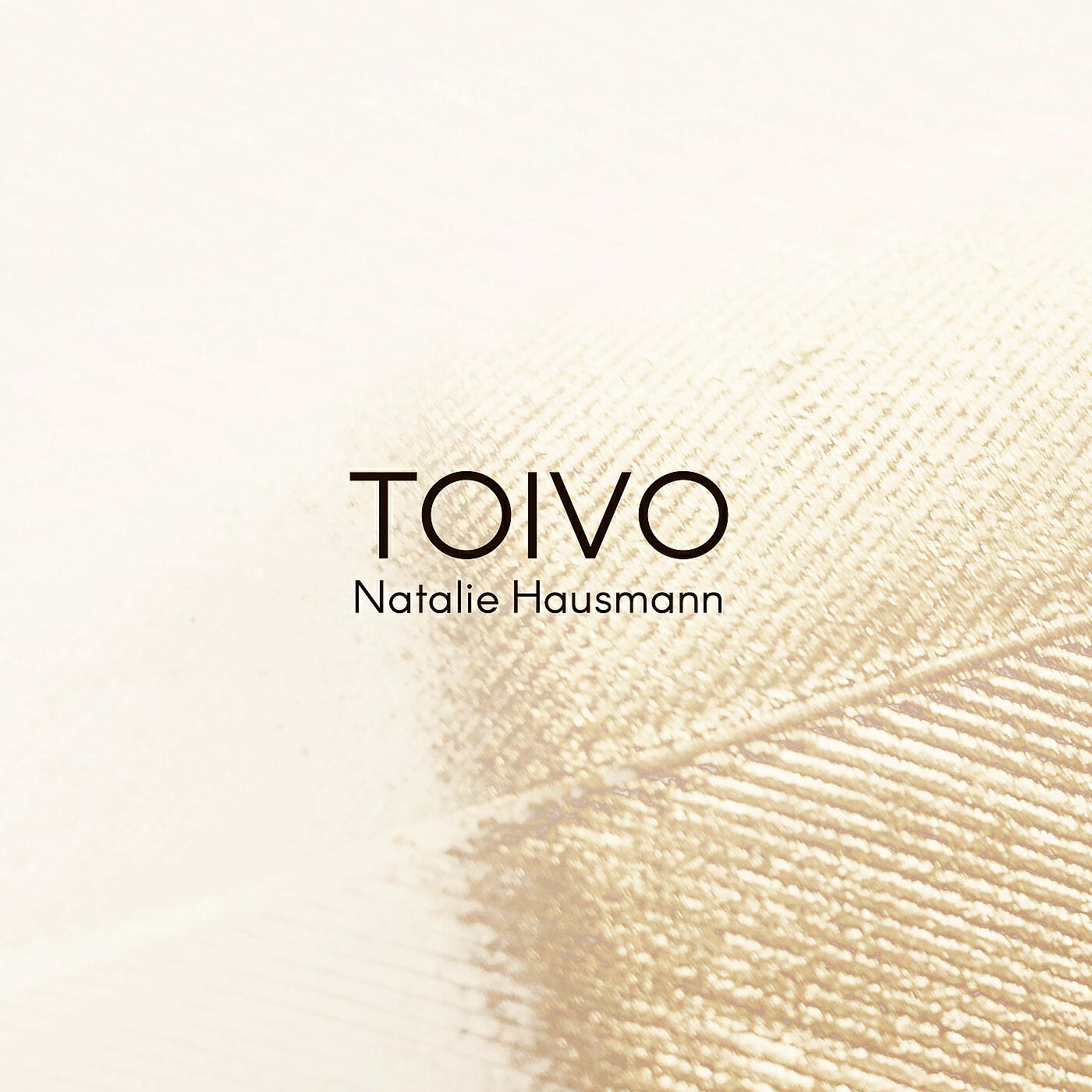 Релиз Toivo