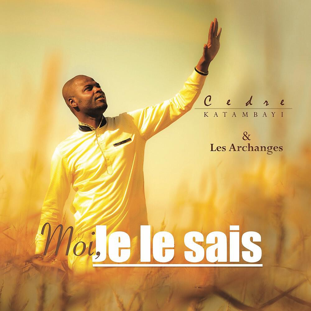 Постер альбома Moi, je le sais ...