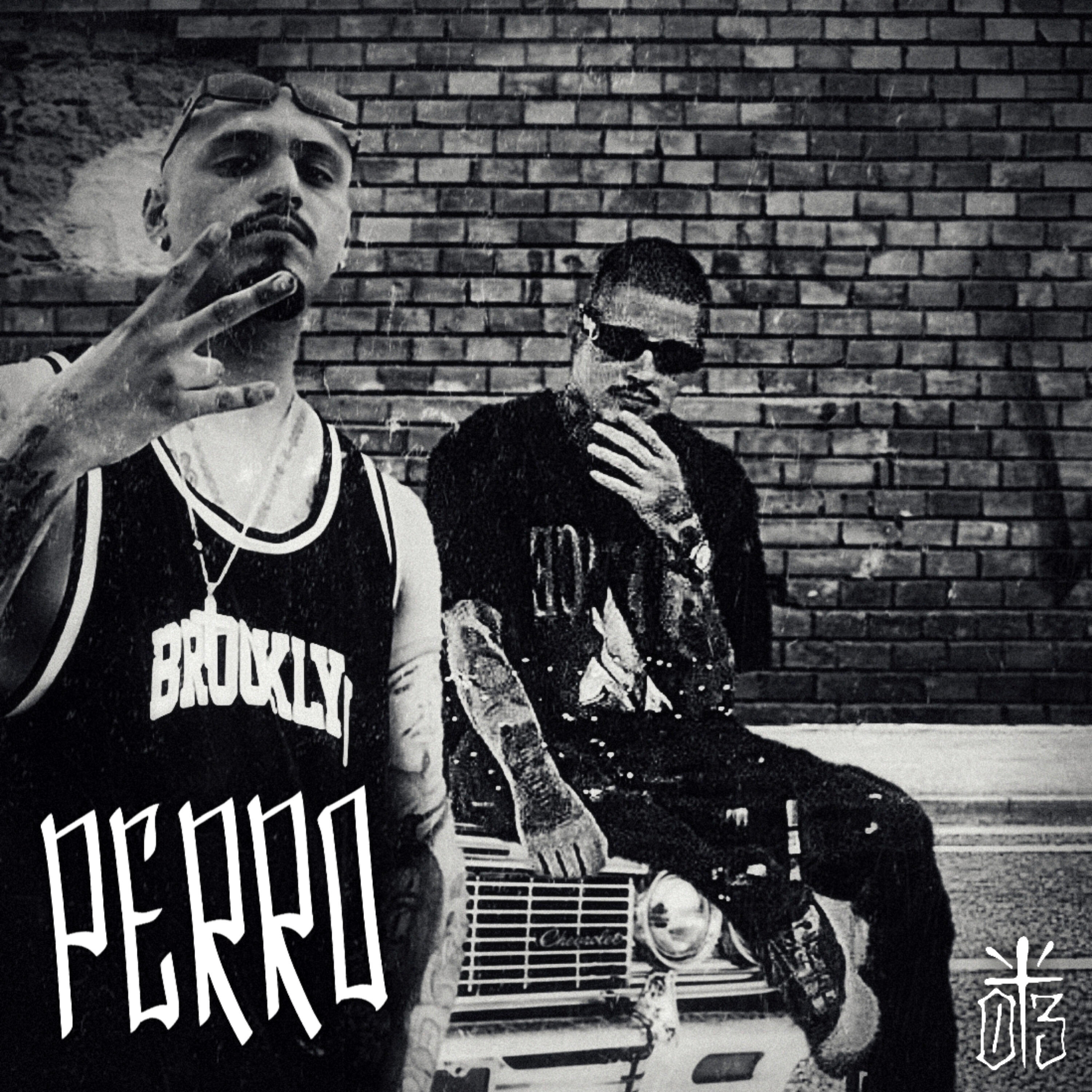 Релиз Perro