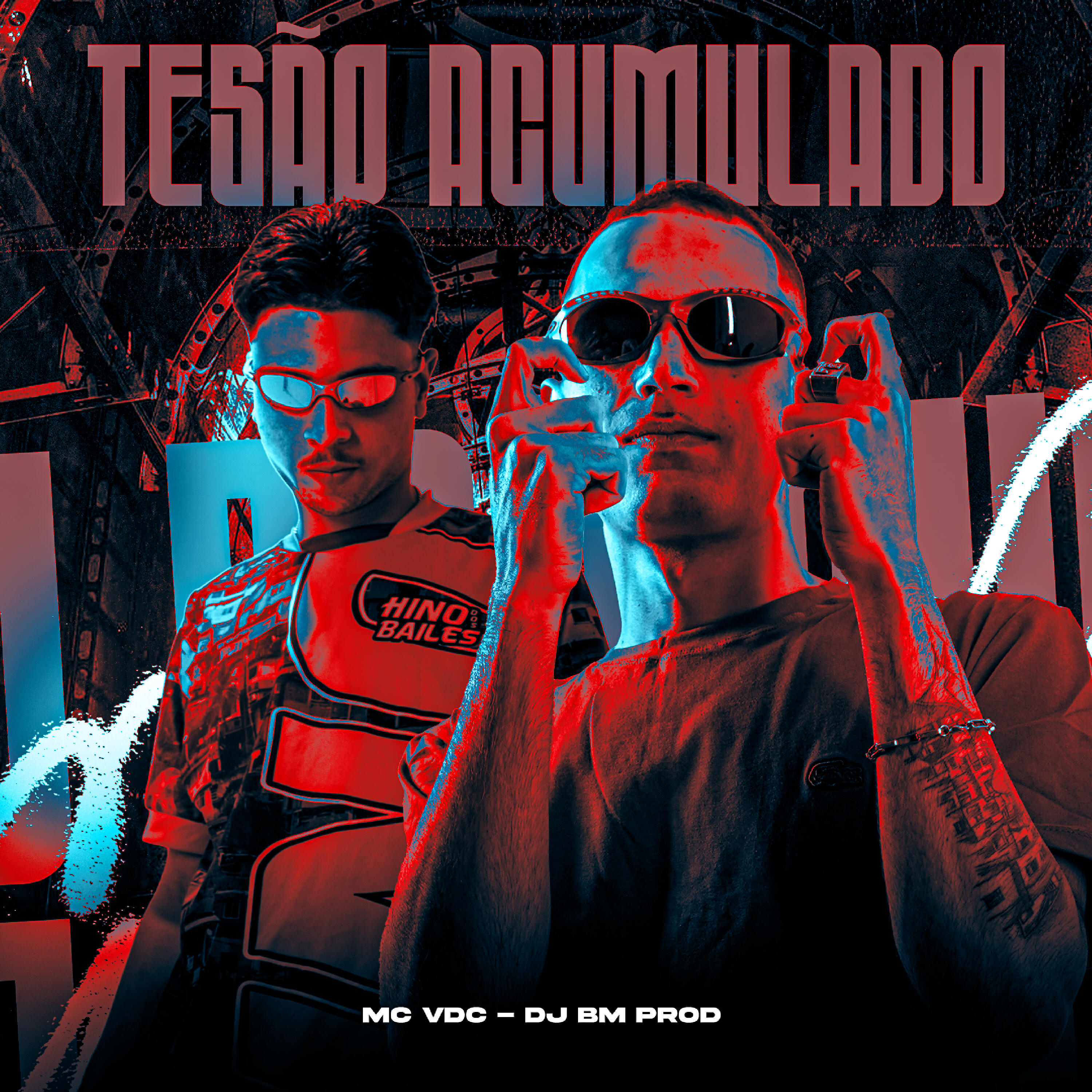 Постер альбома Tesão Acumulado