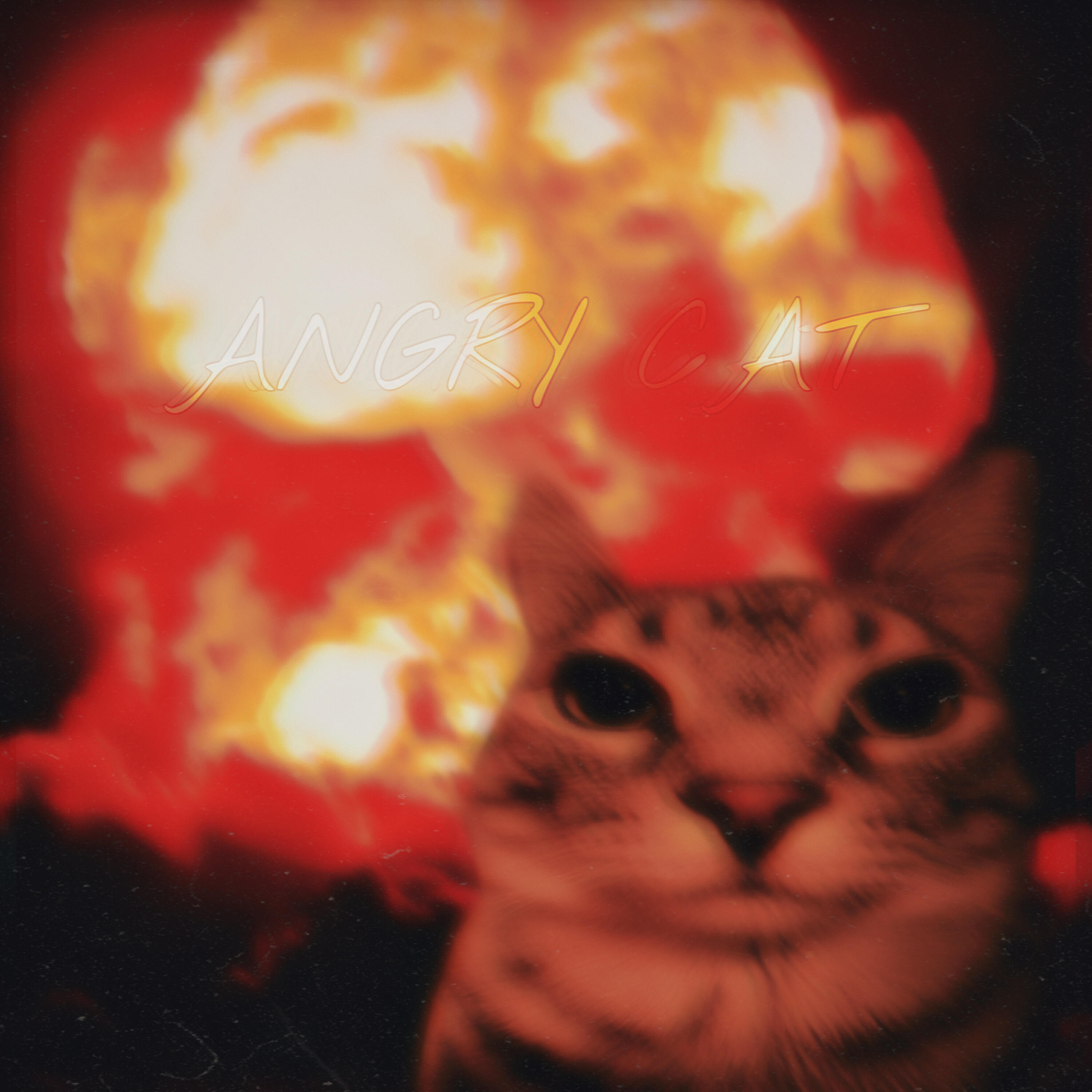 Релиз ANGRY CAT