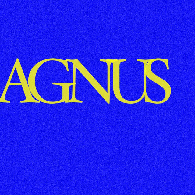 Релиз Agnus
