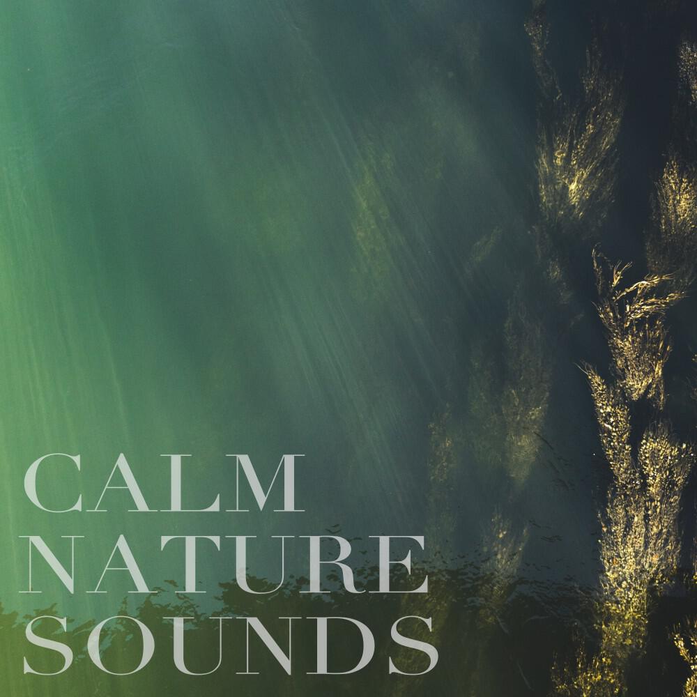 Релиз Calm Nature Sounds